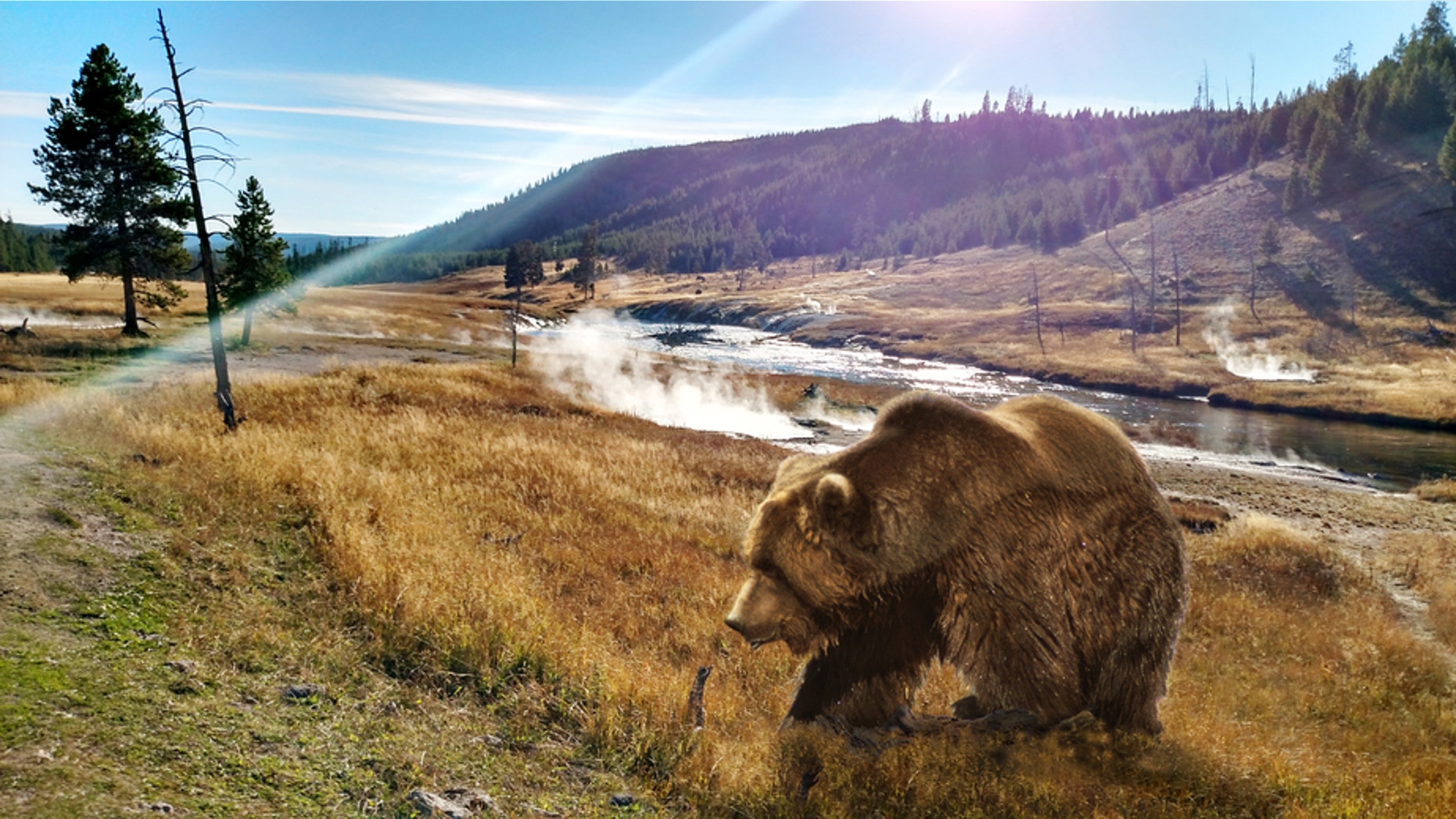 National parks are safe but accidents still happen.