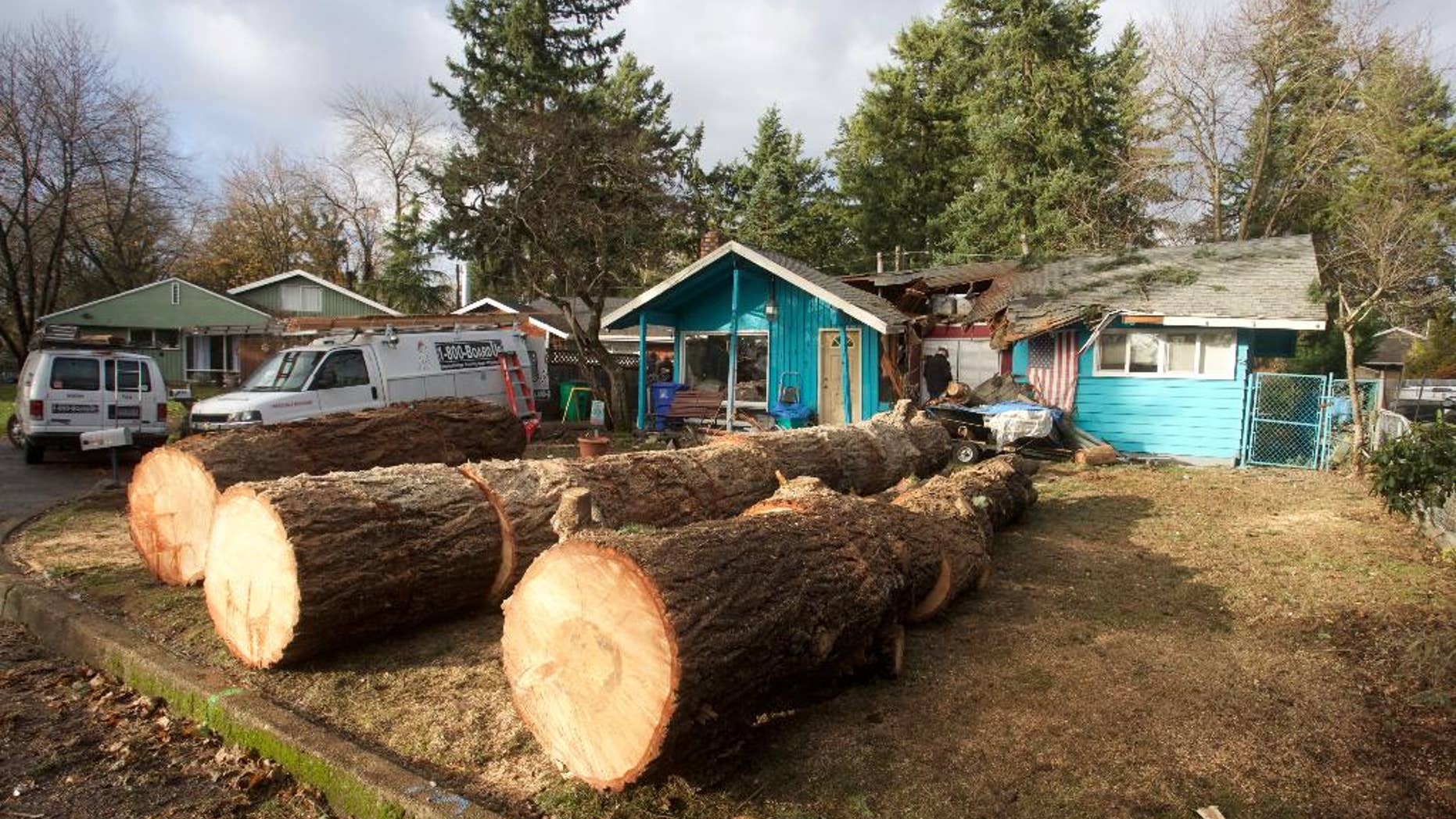Sections of a large fir tree that fell on a house overnight and killed an elderly woman rest in the yard in Portland, Ore., Wednesday, Dec. 9, 2015. Heavy rain and wind has caused at least one death in the region. (AP Photo/Steve Dipaola)