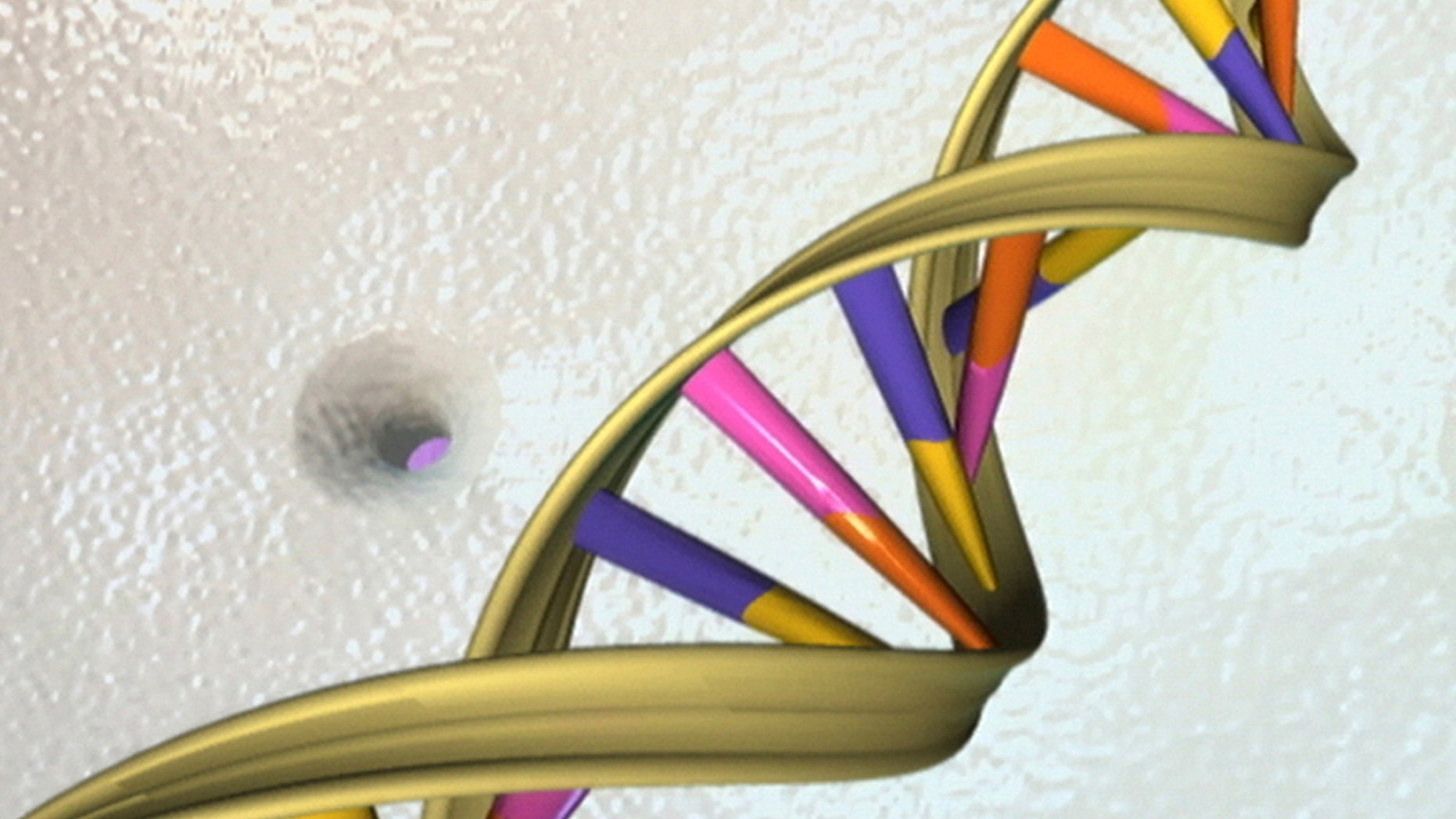 A DNA double helix is seen in an undated artist's illustration released by the National Human Genome Research Institute