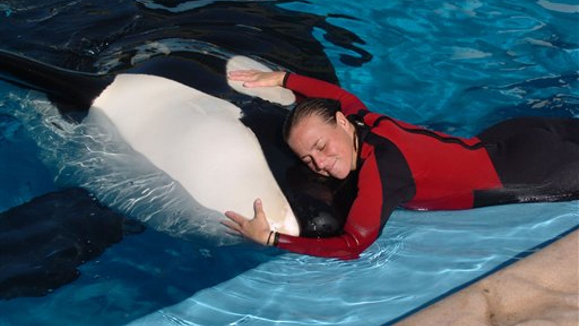 Dawn Brancheau, a whale trainer at SeaWorld Adventure Park. Brancheau was killed in an accident with a killer whale at the SeaWorld Shamu Stadium Wednesday afternoon, Feb. 24, 2010.