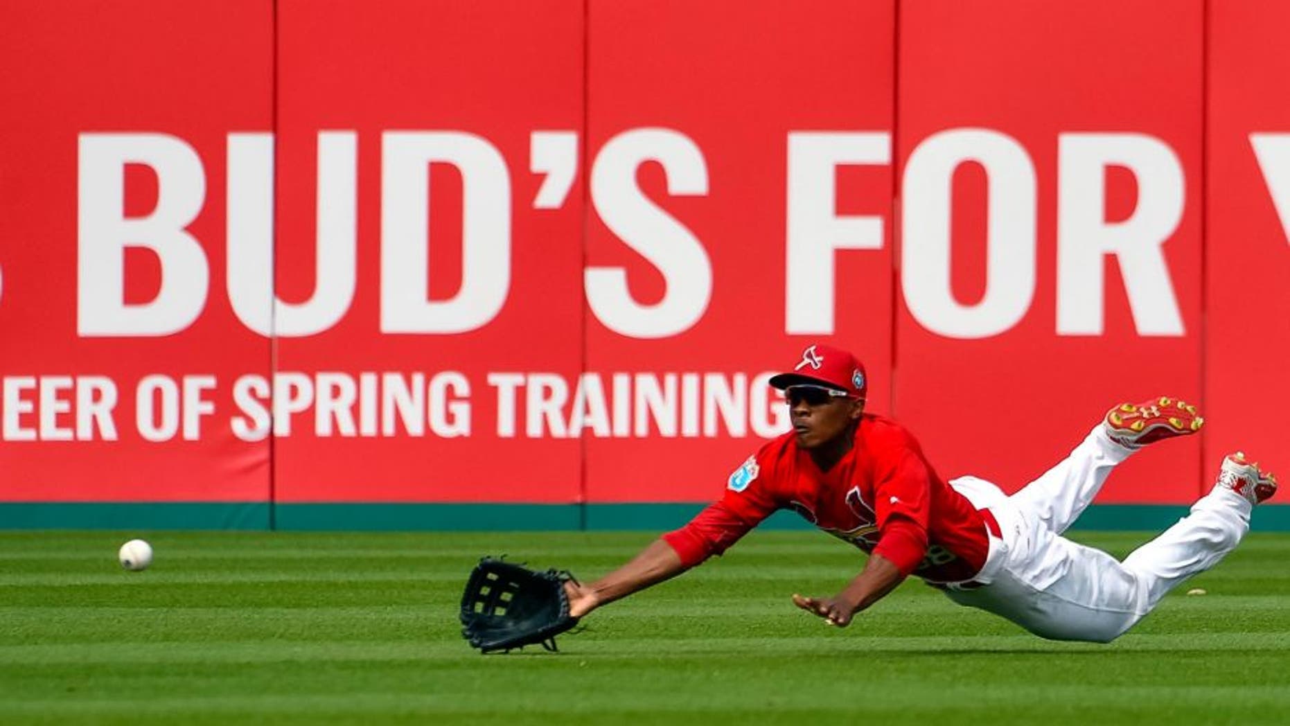 Mar 21, 2016; Jupiter, FL, USA; St. Louis Cardinals center fielder Magneuris Sierra (98) makes a diving attempt against the Boston Red Sox during the game at Roger Dean Stadium. The Red Sox defeated the Cardinals 4-3. Mandatory Credit: Scott Rovak-USA TODAY Sports