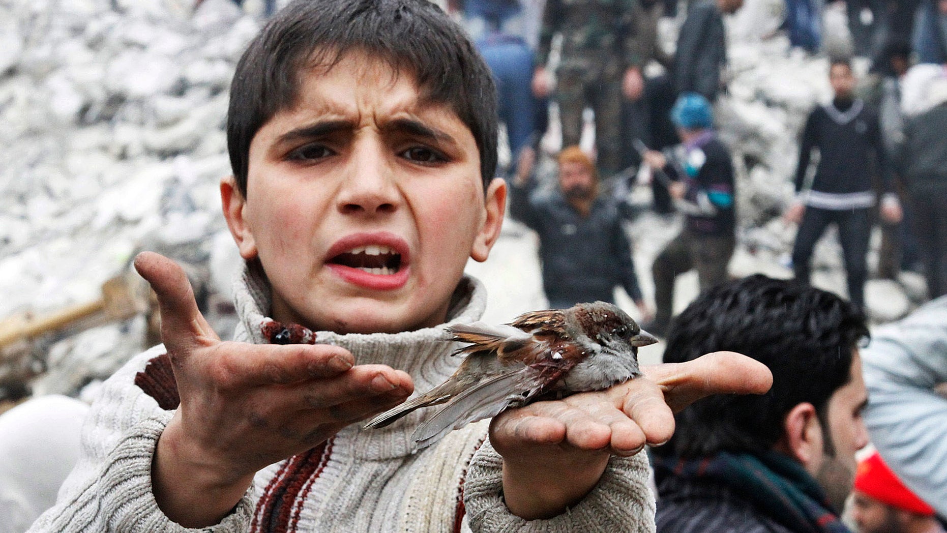 A Syrian boy holds a bird in his hand that he said was injured in a government airstrike hit the neighborhood of Ansari, in Aleppo, Syria, Sunday, Feb. 3, 2013. The Britain-based activist group Syrian Observatory for Human Rights, which opposes the regime, said government troops bombarded a building in Aleppo's rebel-held neighborhood of Eastern Ansari that killed over 10 people, including at least five children. (AP Photo/Abdullah al-Yassin)