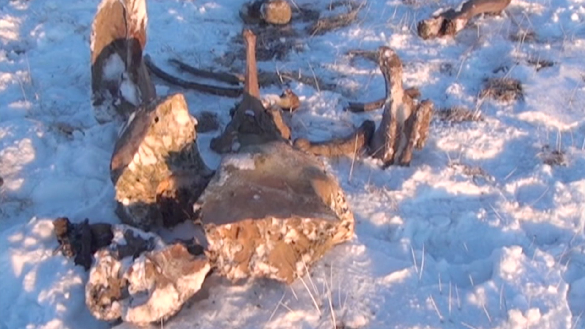 In this image made available on Thursday, May 30, 2013 from Rossiya television a mammoth carcass lies in snow on the Arctic Lyakhovsky Island, Russia. Russian researchers say they have discovered a perfectly preserved woolly mammoth carcass with liquid blood on a remote Arctic island, fueling hopes of cloning the Ice Age animal. The frozen remains of a female mammoth were so well preserved that blood came running out after it was recovered from ice. (AP Photo/Rossiya Television, AP Video) TV OUT