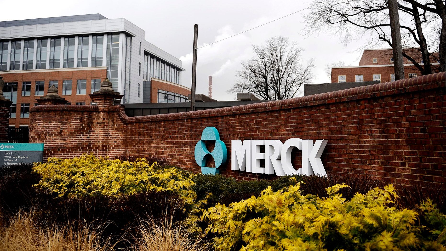 A view of the Merck & Co. campus in Linden, New Jersey.