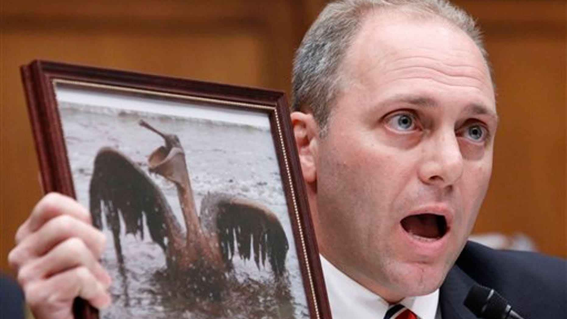 Rep. Steve Scalise, R-La., holds an Associated Press photo taken by Charlie Riedel, of an oil covered pelican, the state bird of Louisiana, as he questions BP CEO Tony Hayward, on Capitol Hill in Washington, Thursday, June 17, 2010, during the House Oversight and Investigations subcommittee hearing on "the role of BP in the Deepwater Horizon Explosion and oil spill. (AP Photo/Haraz N. Ghanbari)