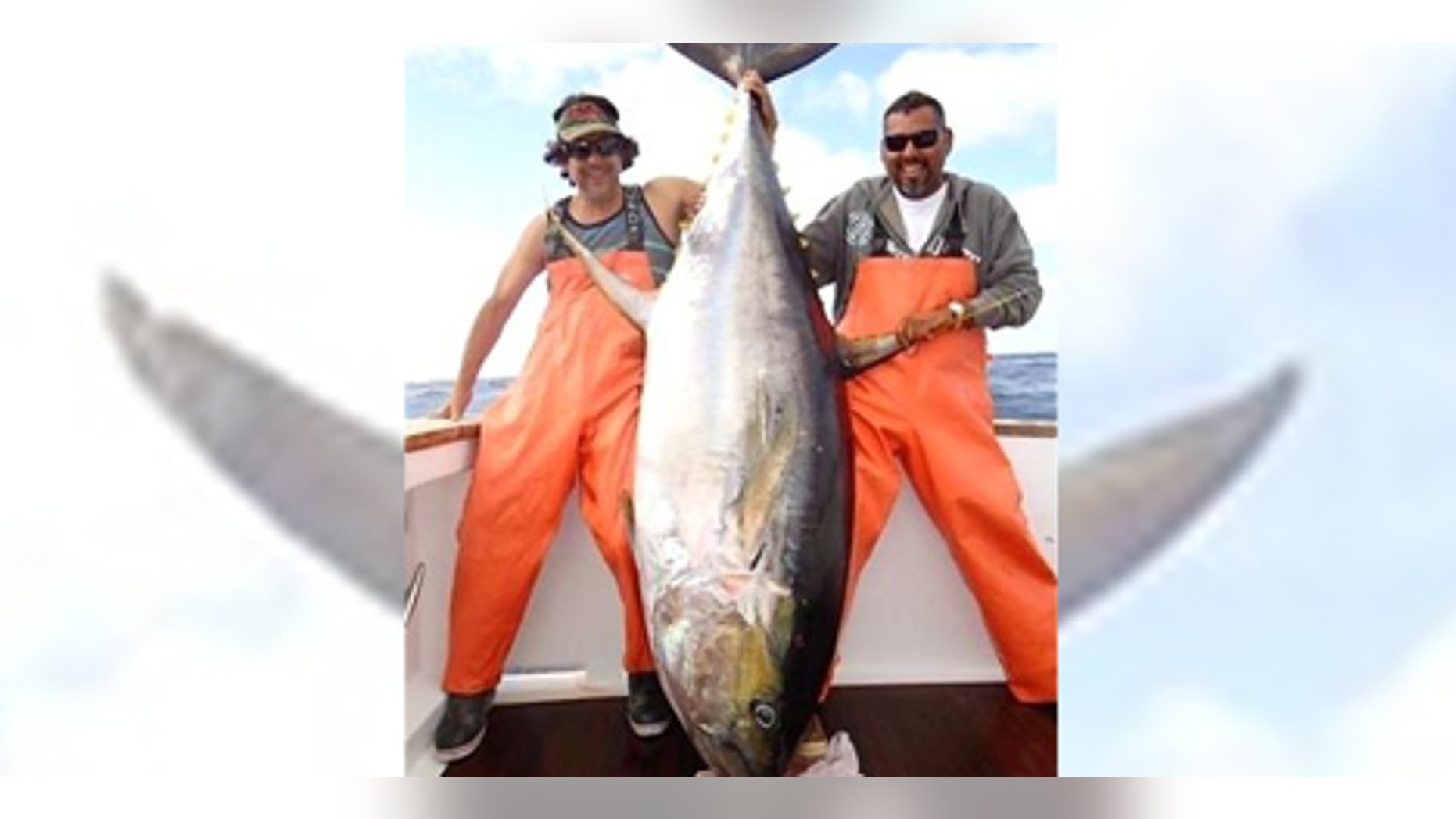 April 12, 2012: Robert Pedigo, left, and Danny Osuna pose with a 427-pound yellowfin tuna caught off the coast of Puerto Vallarta, Mexico. (Courtesy: Danny Osuna)