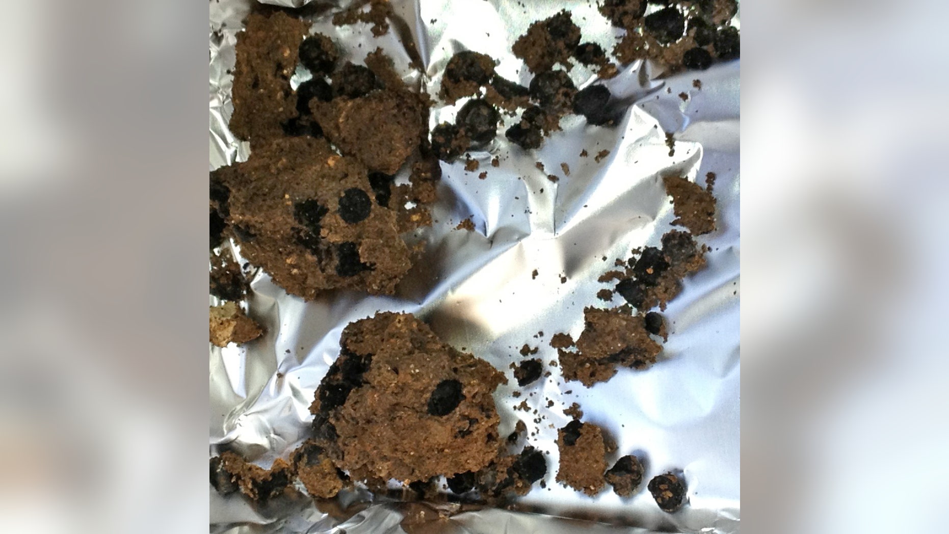 The world’s oldest domesticated fava seeds which were found at Ahihud. (Kobi Vardi, courtesy of the Israel Antiquities Authority)