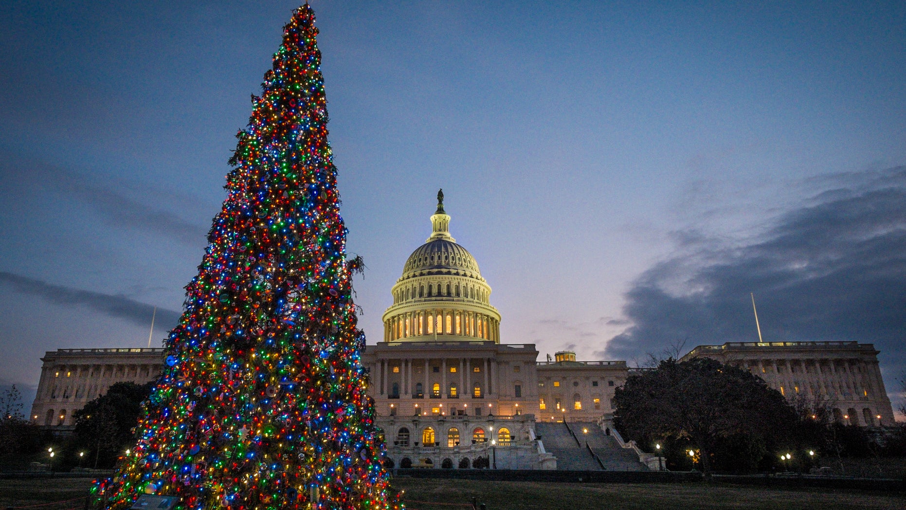 The U.S. Capitol Christmas tree is lit against the early morning sky Wednesday, Dec. 4, 2013 in Washington. The tree was officially lit Tuesday night to kick off the holiday season in the Nation's Capital. (AP Photo/J. David Ake)