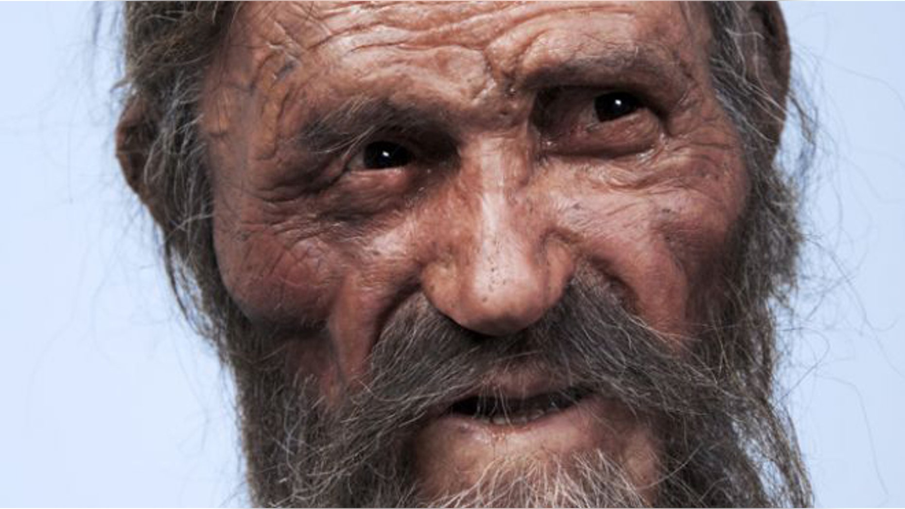 A reconstruction of Otzi the Iceman -- a remarkably well preserved 5,300-year-old mummy sometimes lovingly called "Frozen Frit" -- created by Dutch forensic experts.