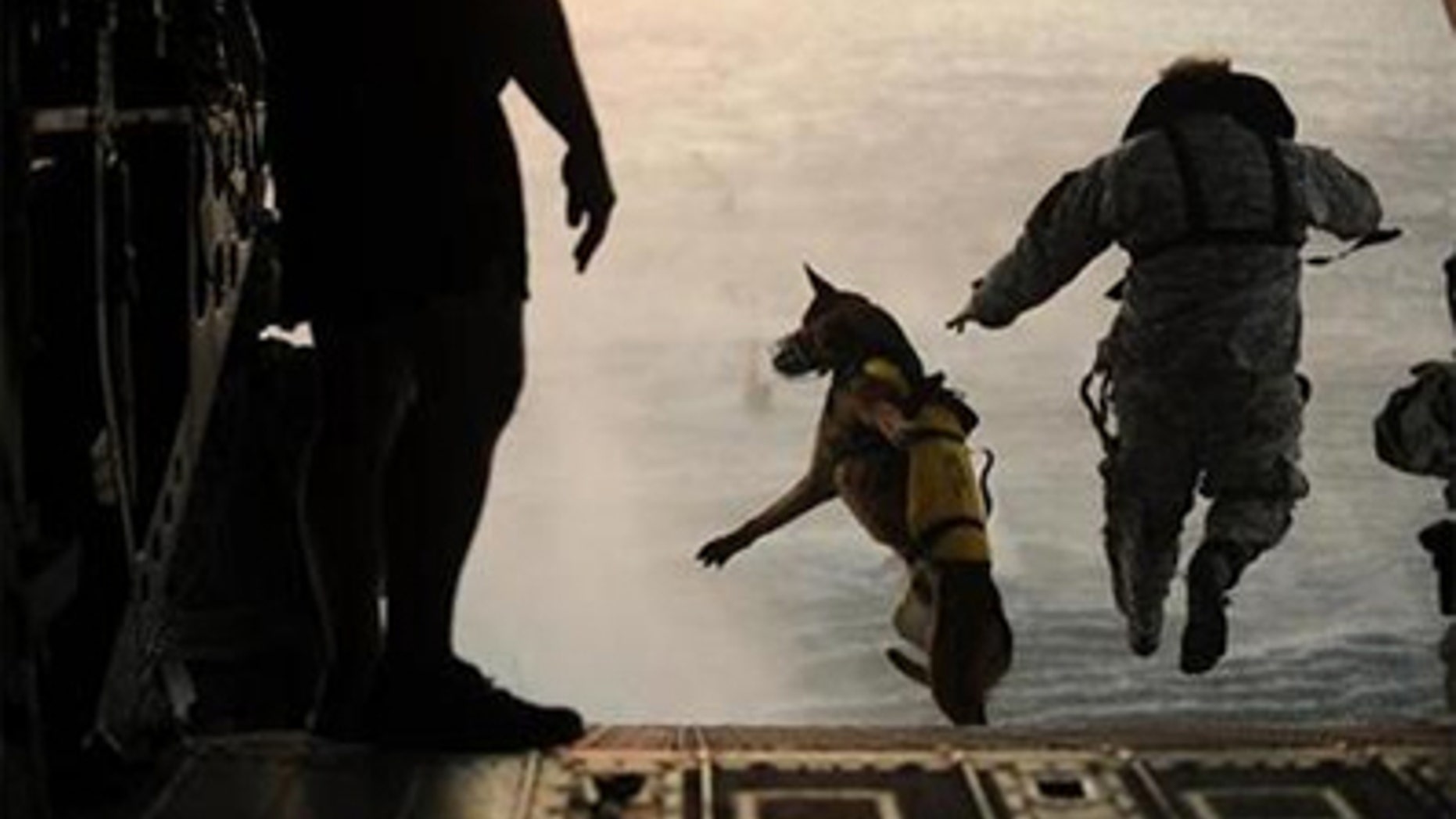A U.S. Army soldier with the 10th Special Forces Group and his military working dog jump off the ramp of a CH-47 Chinook helicopter from the 160th Special Operations Aviation Regiment during water training over the Gulf of Mexico as part of exercise Emerald Warrior 2011 in this U.S. military handout image from March 1, 2011.