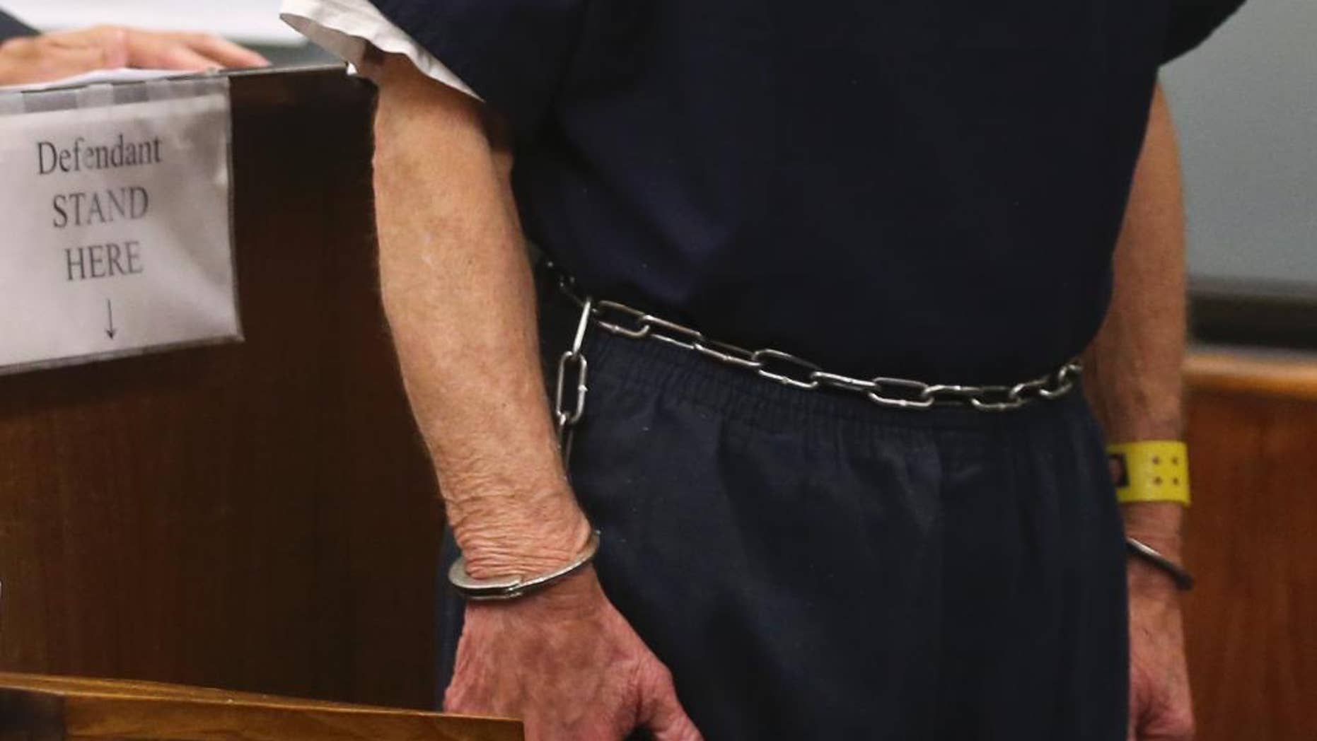 Frank John Selas shackled hands rest at his side as he is arraigned Wednesday, Jan. 27, 2016, in San Diego. Salas who once hosted a children's show on local television under the name "Mr. Wonder" was arrested on charges he sexually abused children during a camping retreat nearly four decades ago. (AP Photo)