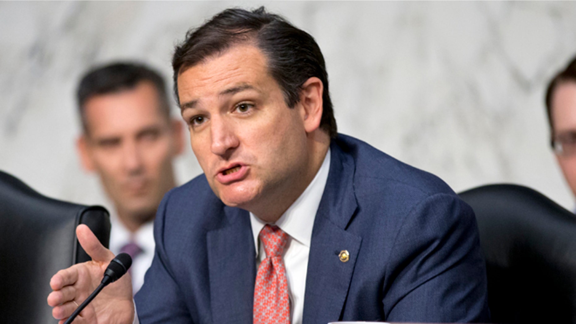 Sen. Ted Cruz, R-Texas, on Capitol Hill in Washington, D.C., July 24, 2013.