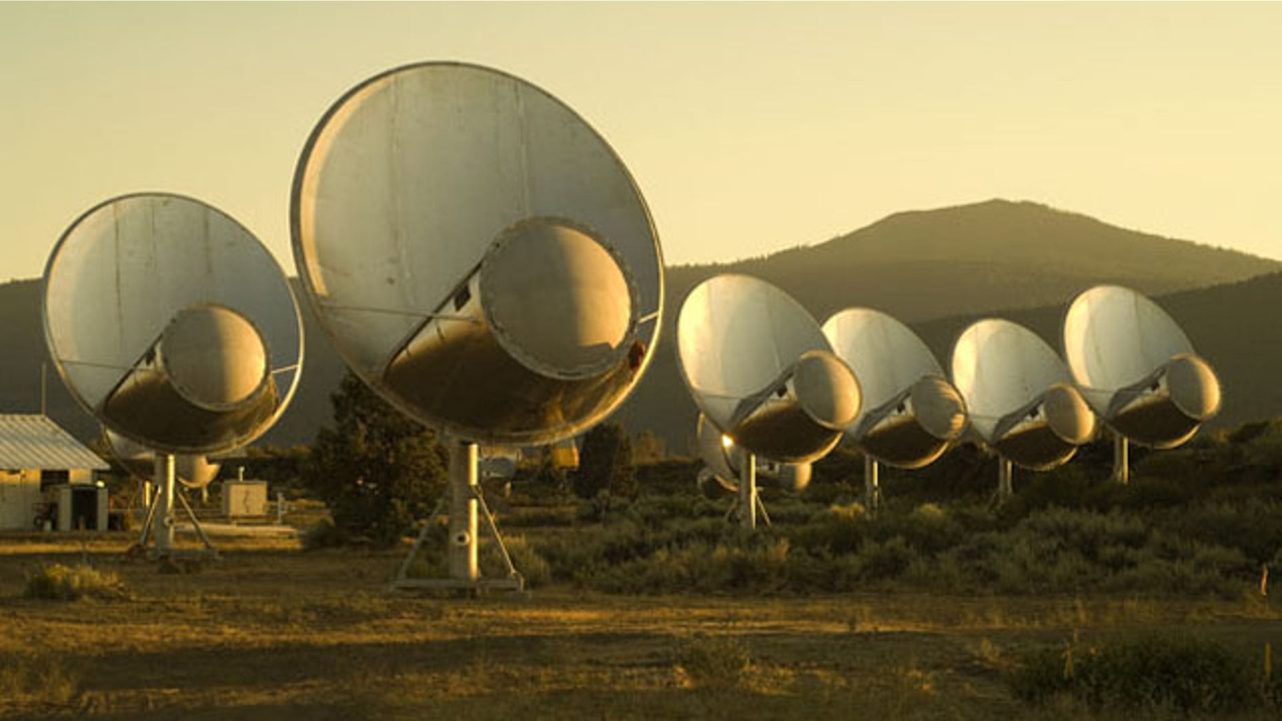The Allen Telescope Array -- a large number of small satellite dishes designed to add the search for extraterrestrial intelligence.