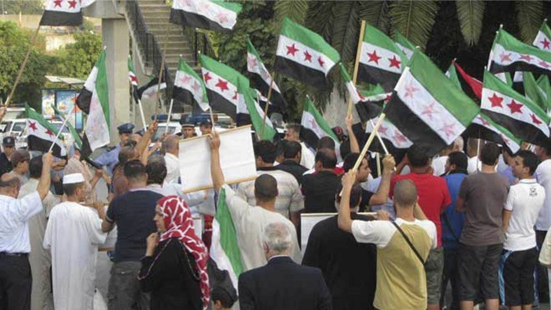 July 3, 2012: This citizen journalist image provided by Shaam News Network purports to show a protest against violence by the Syrian government, in a suburb of Damascus, Syria.