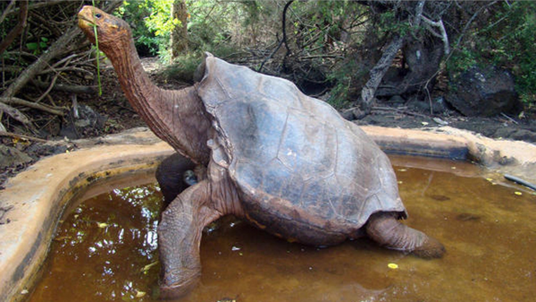 (Galapagos National Park, Associated Press)