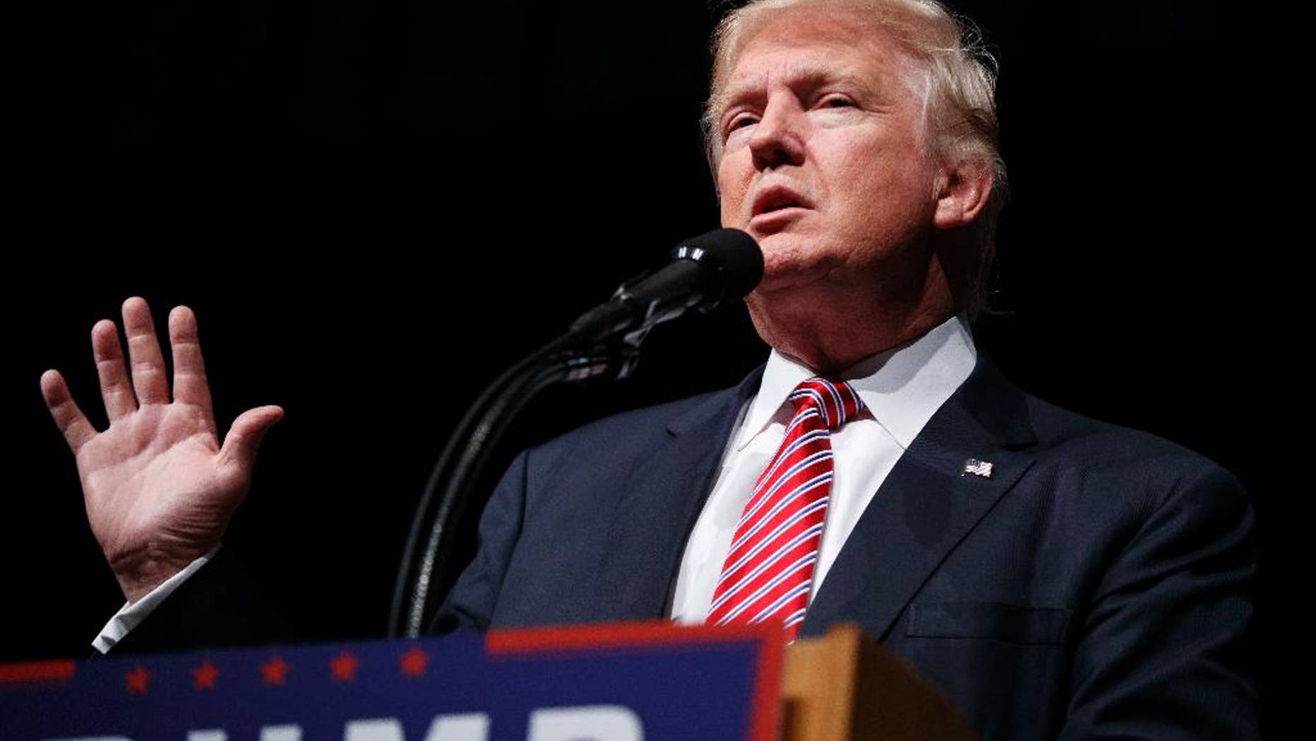 Republican presidential candidate Donald Trump speaks during a campaign rally at Briar Woods High School, Tuesday, Aug. 2, 2016, in Ashburn, Va. (AP Photo/Evan Vucci)