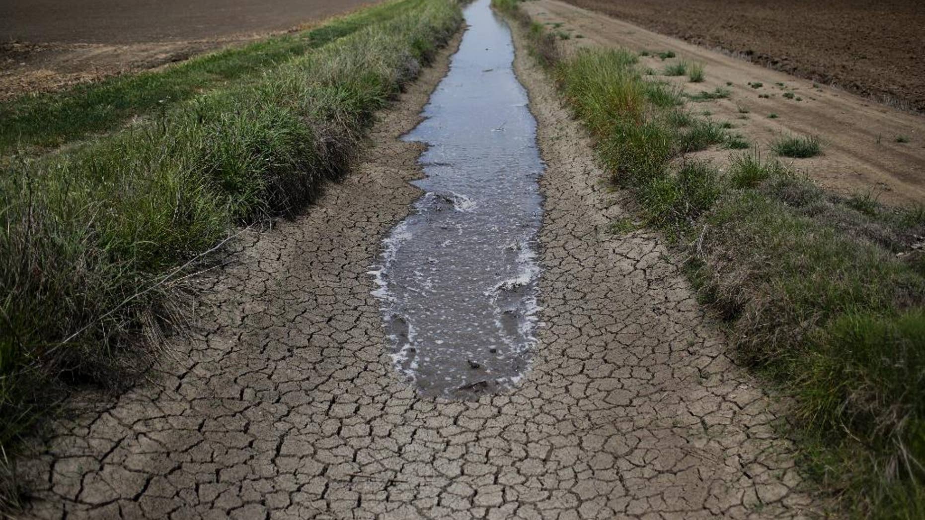 FILE - In this May 1, 2014 file photo, irrigation water runs along the dried-up ditch between the rice farms to provide water for the rice fields in Richvale, Calif. The federal government will be pouring nearly a quarter-billion dollars into several dozen projects aimed at tackling the effects of drought in the West and restoring watersheds that provide drinking water to communities around the nation. The head of the U.S. Department of Agriculture's Natural Resources Conservation Service, Jason Weller, said Wednesday, Dec. 21, 2016, that in addition to the federal funds, the projects will leverage close to $500 million from state, local and private partners. (AP Photo/Jae C. Hong, File)