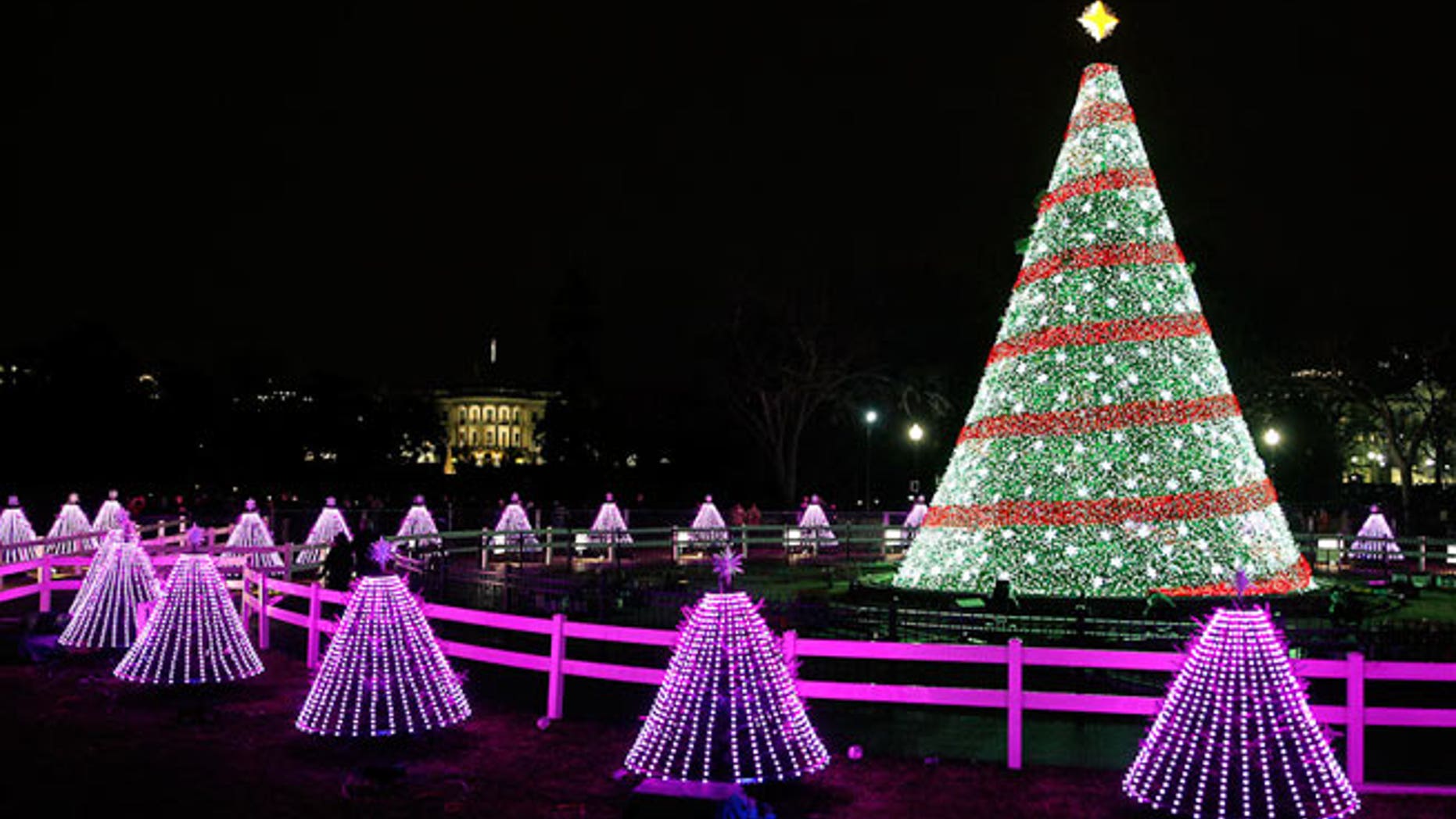 National Christmas Tree