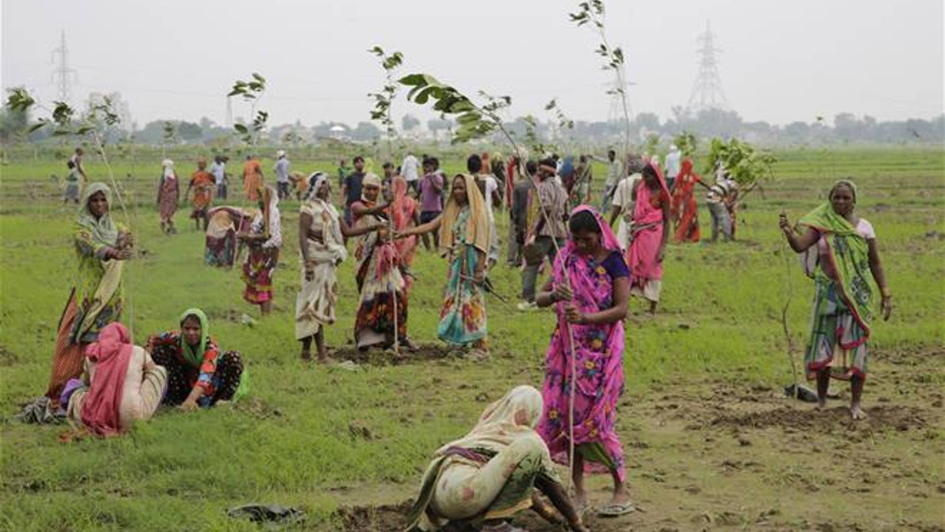 Indian women plant saplings on the outskirts of Allahabad, India, on July 11.