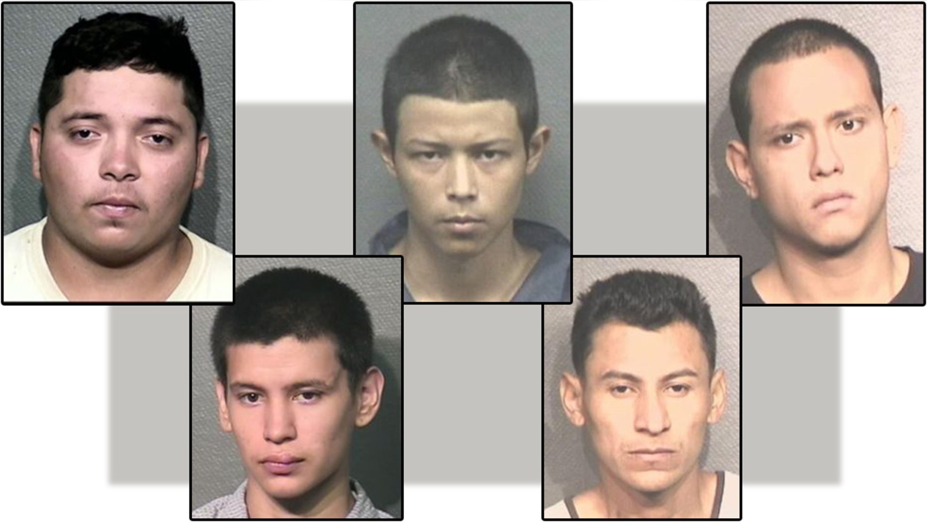 Francisco Antonio Rodriguez-Ulloa, left, is a member of the deadly MS-13 gang was charged with murder on Tuesday, according to police. Four other MS-13 gang members, pictured above, were also charged with murder. From left to right: Carlos Elias Henriquez-Torres, Marlon A. Miranda, Miguel Aguilar-Ochoa, Wilson J. Ventura-Mejia.