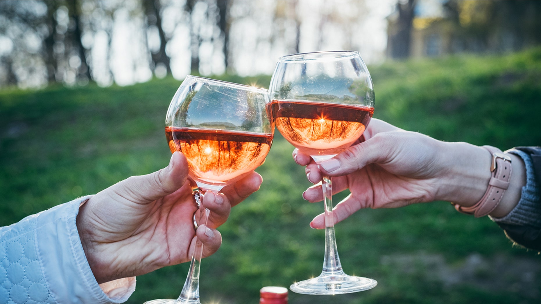 Cheers to wine, hangover free