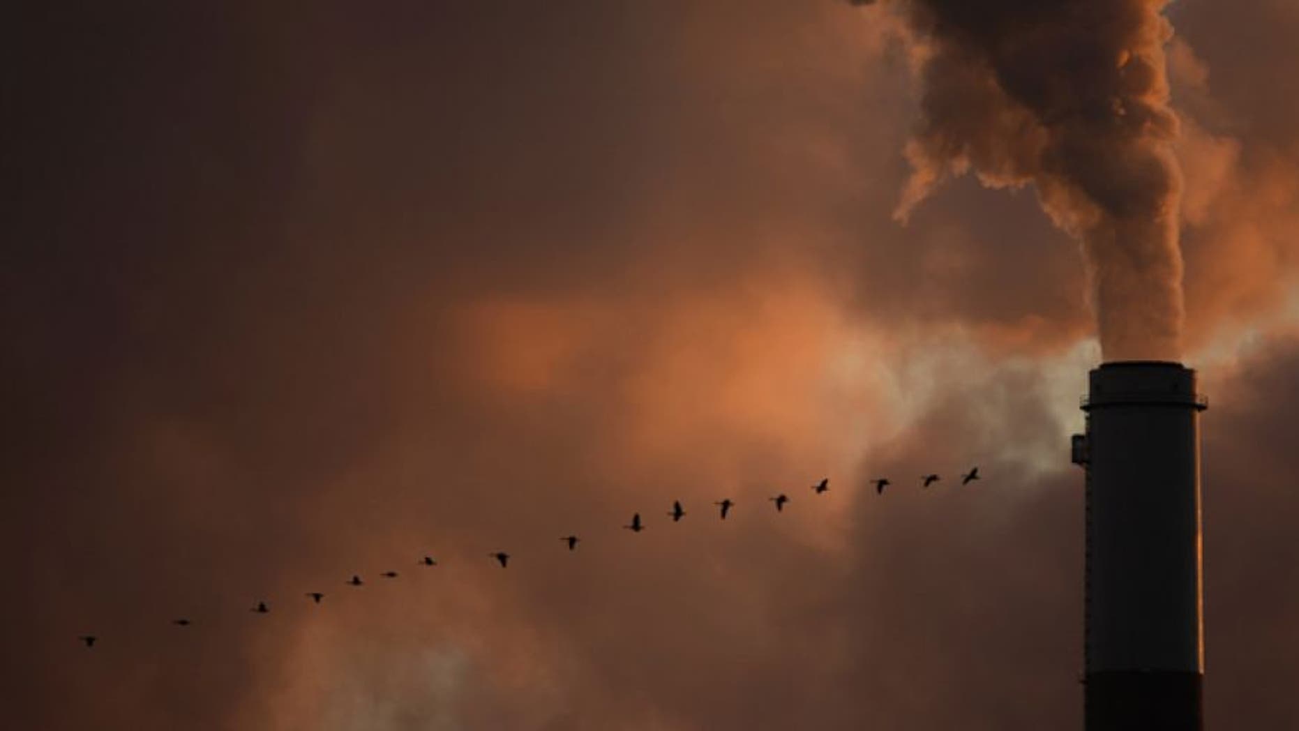 Jan. 10, 2009: A flock of geese fly past a smokestack at the Jeffery Energy Center coal power plant near Emmitt, Kan.