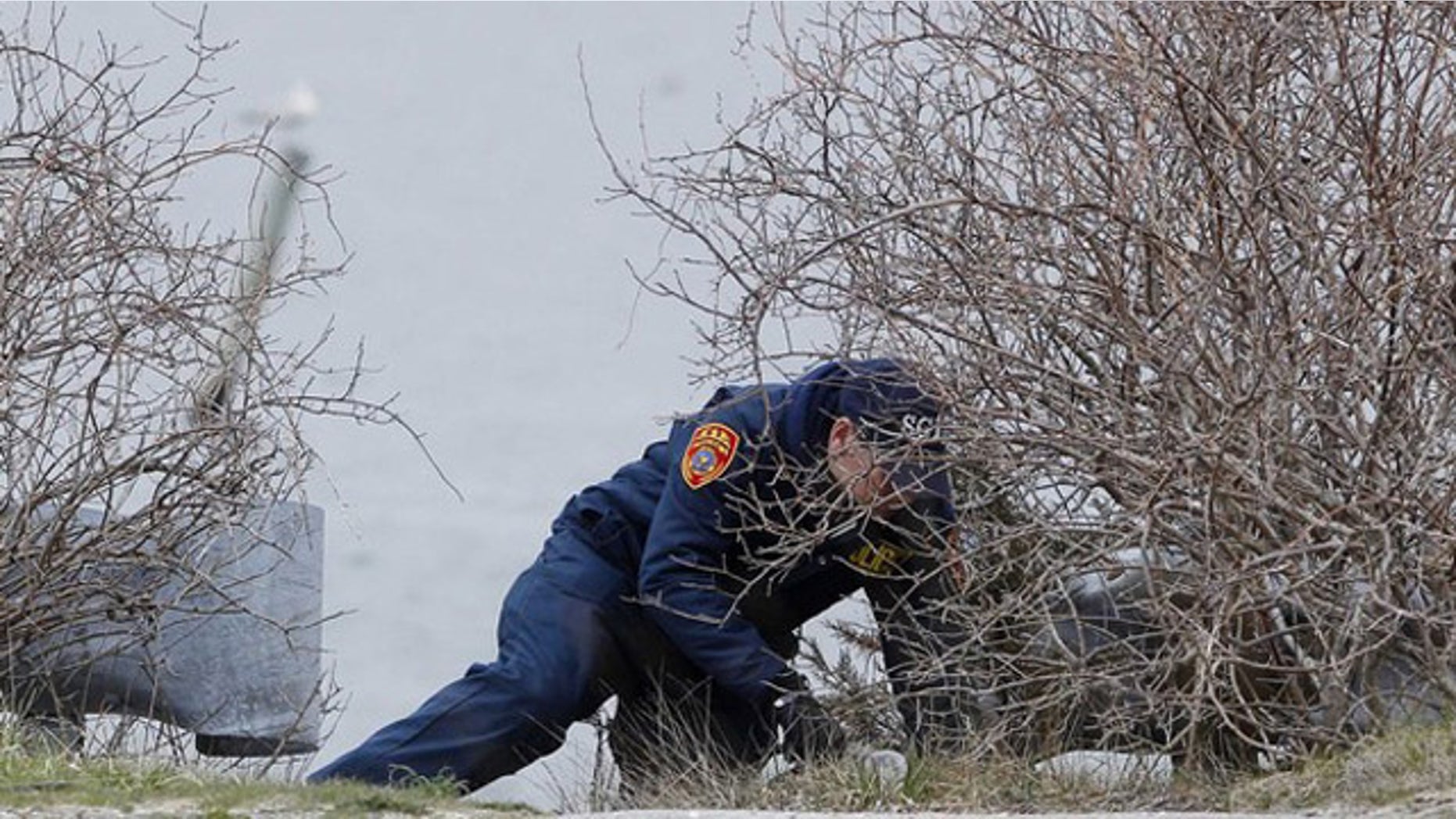April 7, 2011: A member of the Suffolk County police search team looks through a brush area for the remains of more possible victims near the beach area of Oak Beach, New York.