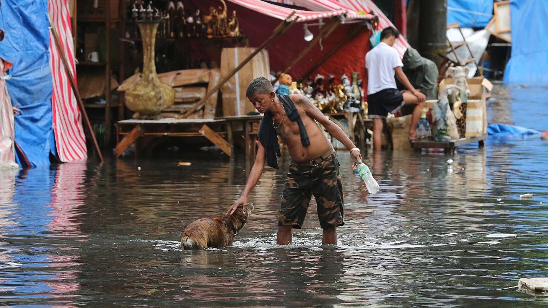 In this Thursday Dec. 29, 2016 photo, a man pets a dog along a flooded street caused by rains from Typhoon Nock-Ten in Quezon city, north of Manila, Philippines. The powerful typhoon slammed into the eastern Philippines on Christmas Day, spoiling the biggest holiday in Asia's largest Catholic nation, where a governor offered roast pig to entice villagers to abandon family celebrations for emergency shelters. (AP Photo/Aaron Favila, File)