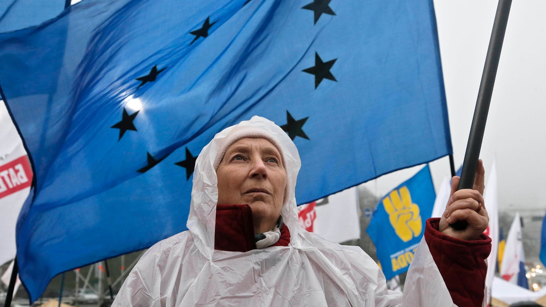 An activist holds a European Union flag during a rally at European Square in Kiev, Ukraine, Monday, Nov. 25, 2013. Demonstators rallied in the center of Kiev to demand that the Ukrainian government reverse course and sign a landmark agreement with the European Union in defiance of Russia. (AP Photo/Efrem Lukatsky)