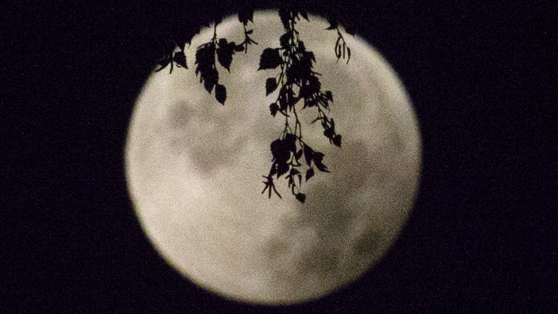 File photo: A supermoon appears after a total "supermoon" lunar eclipse in Brussels September 28, 2015.