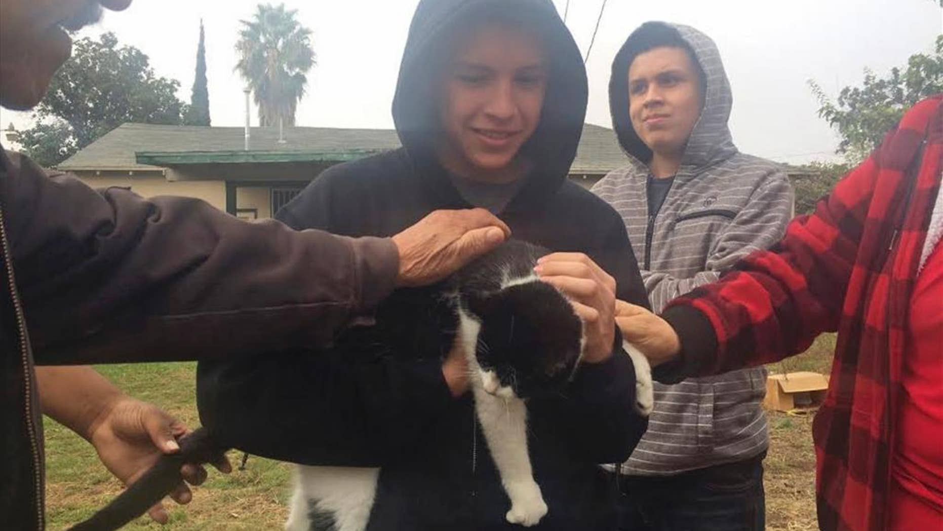 Andrew Perez reunites with his cat, Fat Boy, after a Pacific Gas and Electric Co. crew rescued the feline from atop a 45-foot power pole, Tuesday, Nov. 22, 2016, in Fresno, Calif.