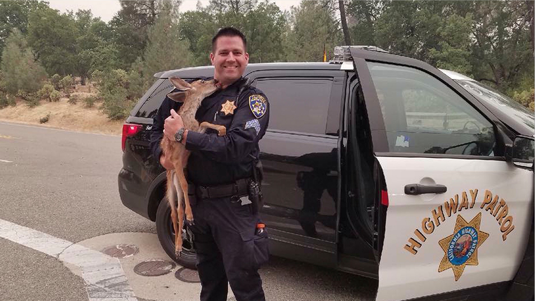 California Highway Patrol Sgt. David Fawson holds a month-old fawn that was located by Cal Fire without a mother insidere the Carr Fire line near Redding, Calif. Sawson evacuated the deer to safety for care with a wildlife rescue.