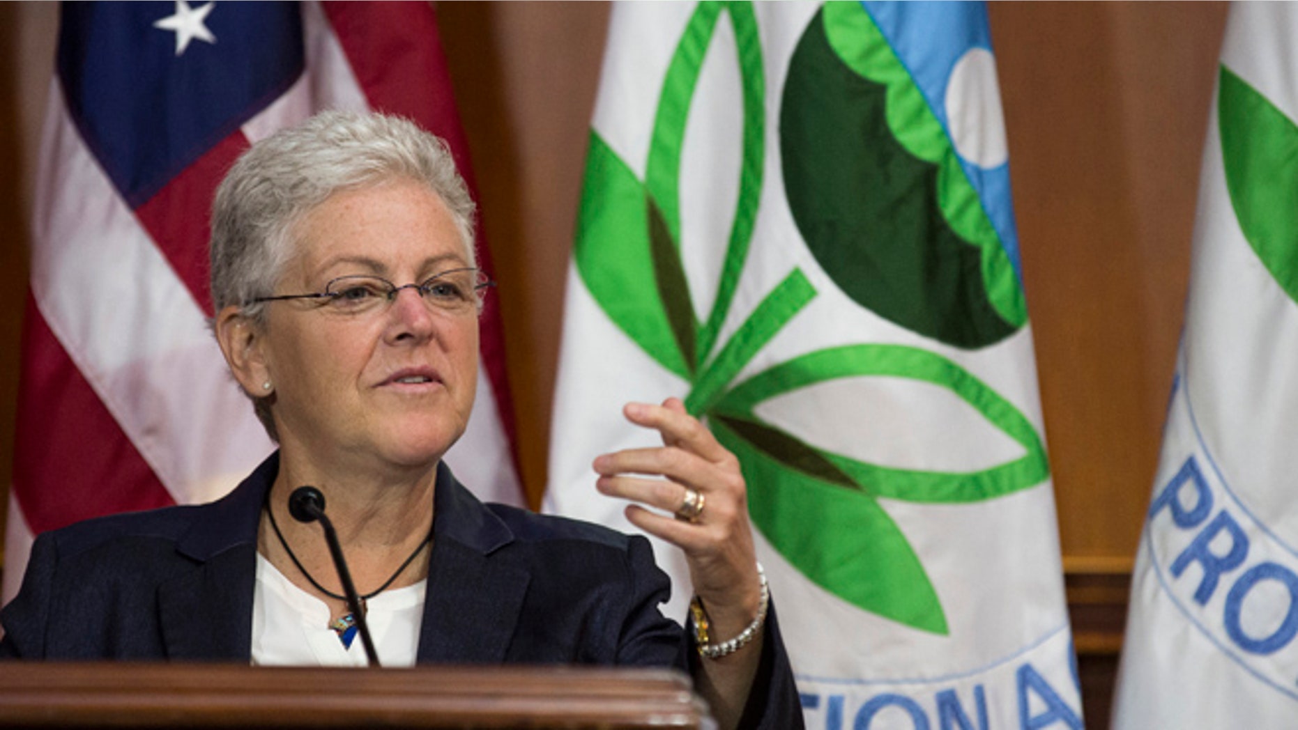 FILE: June 2, 2014: EPA Administrator Gina McCarthy at a news conference in Washington, D.C.
