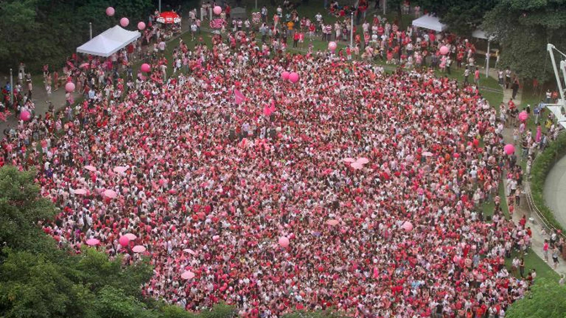 This handout photo made available by 'Pink Dot' on June 18, 2011 shows activists gathered at Hong Lim park in Singapore