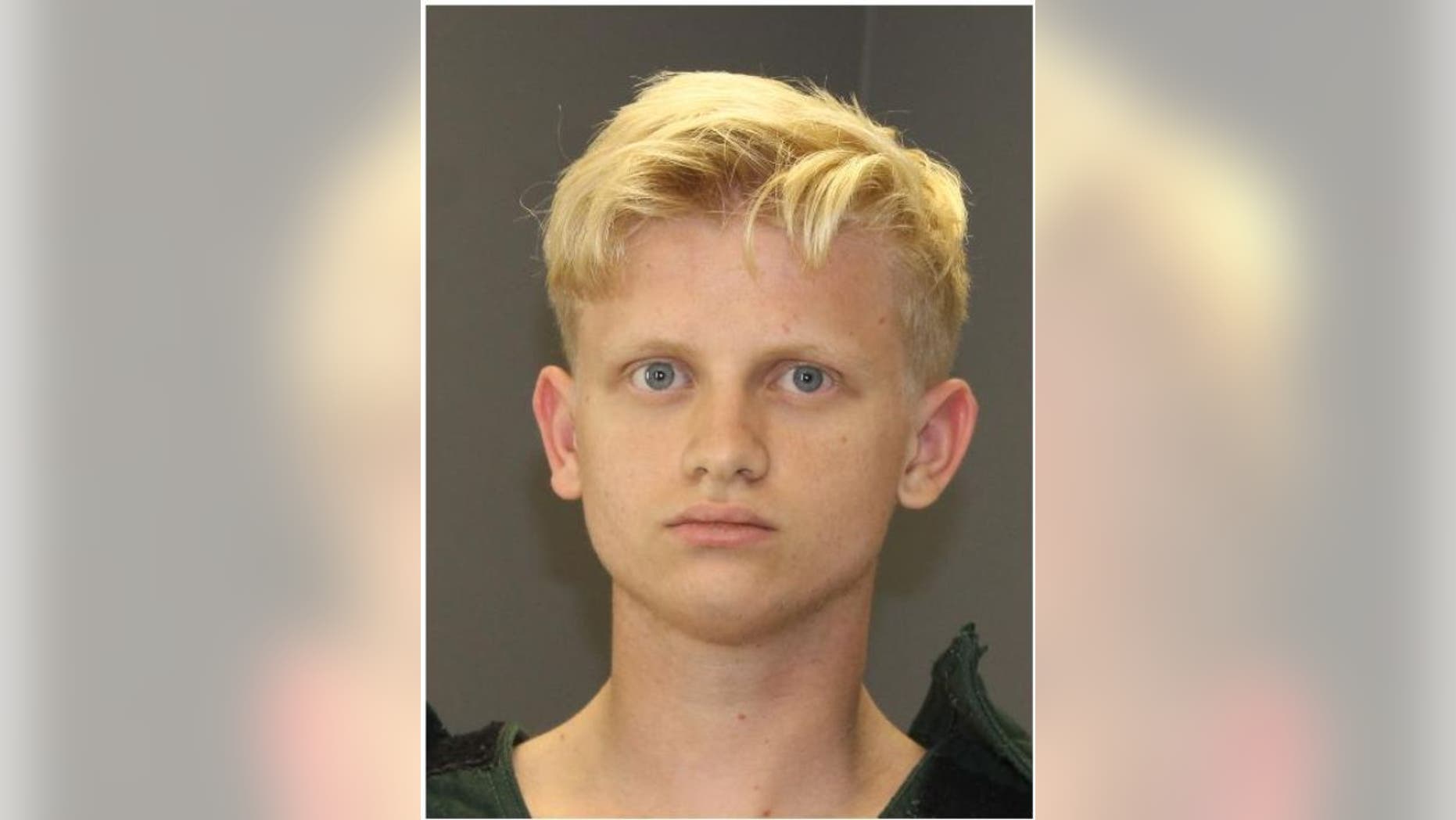 Andrew David Willson, 19, was charged in the death of his mother on Monday.