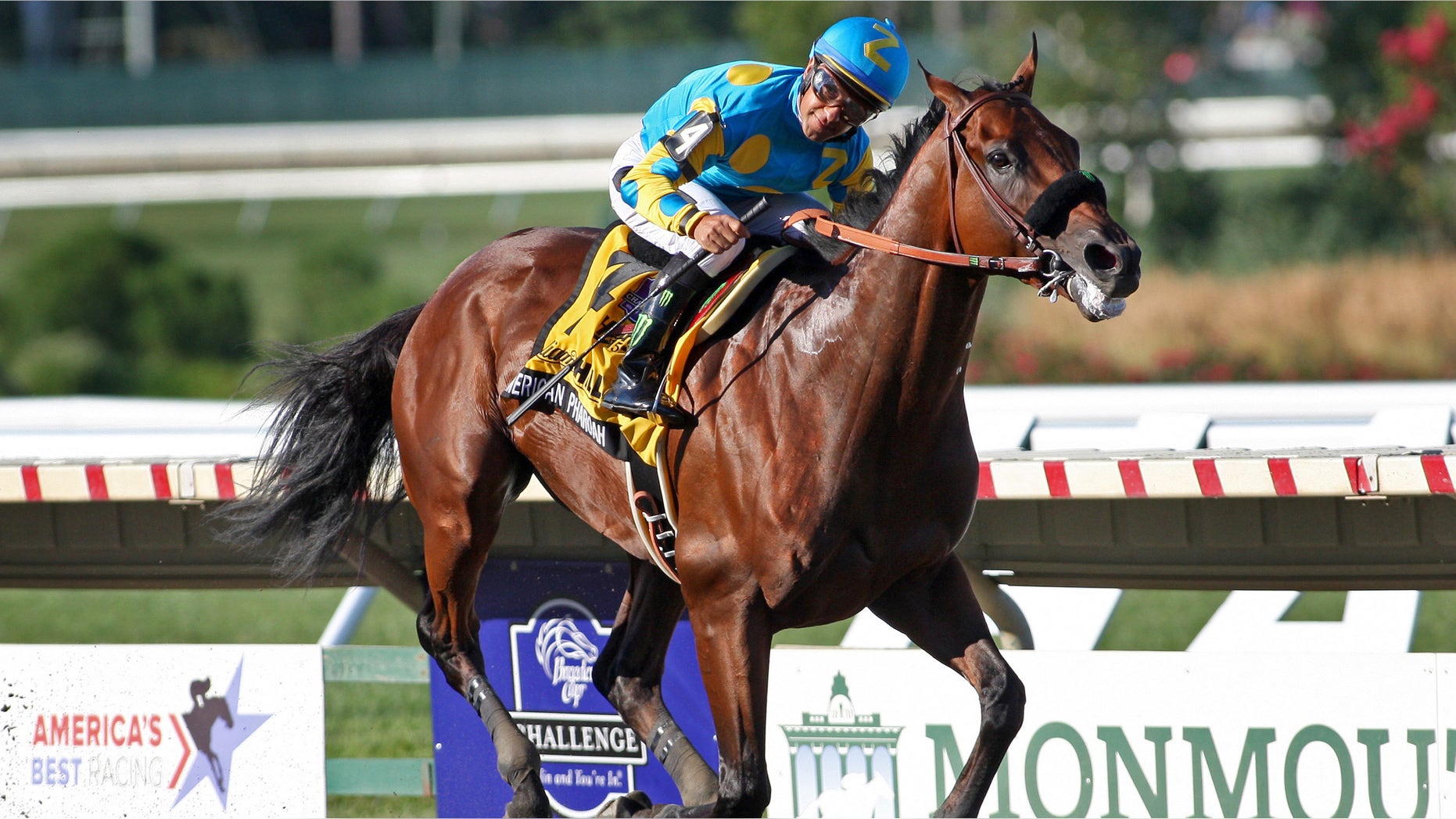 American Pharoah #4 with Victor Espinoza riding, won the $1,750,000 Grade 1 William Hill Haskell Invitational at Monmouth Park in Oceanport, New Jersey on Sunday, Aug. 2, 2015. (Mark Wyville/EQUI-PHOTO via AP)