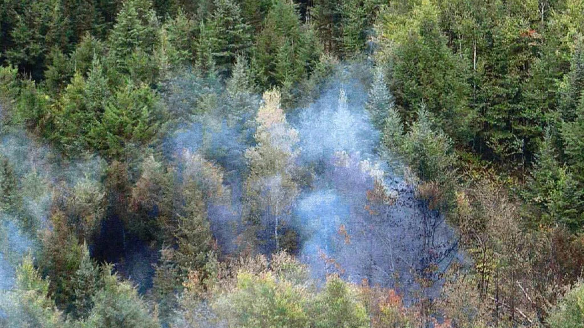 In this Sept. 23, 2009 photo released by the U.S. Attorney's Office, a fire set by fleeing workers burns in a forest where authorities seized $9 million worth of marijuana in Township 37, Maine. Three men convicted in the enterprise that produced one of the biggest marijuana seizures in state history were sentenced ranging from 5-14 years Thursday, April 21, 2016, in U.S. District Court in Bangor, Maine. (U.S. Attorney's Office via AP)