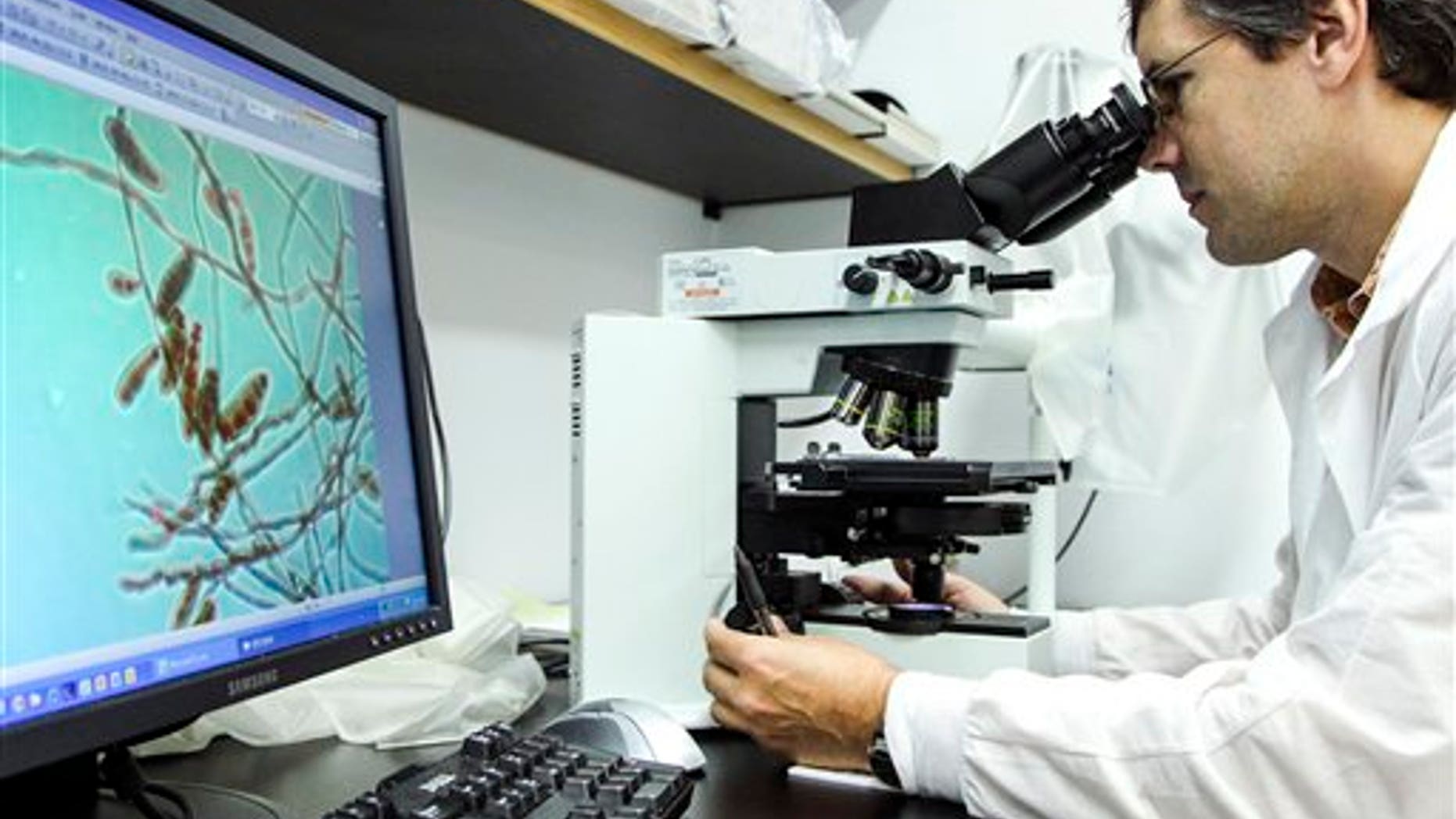 Shawn Lockhart looks at the meningitis-causing fungus Exserohilum rostratum at the mycotic lab at the Centers for Disease Control and Prevention on Oct. 12, 2012 in Atlanta. The staff and technicians have been working around the clock to confirm cases and inform the public regarding the multi-state meningitis outbreak that has resulted in 14 deaths. The fungal outbreak is believed to have started at New England Compounding Center where a steroid injection shipment was contaminated with the fungus. (AP Photo/Pouya Dianat)