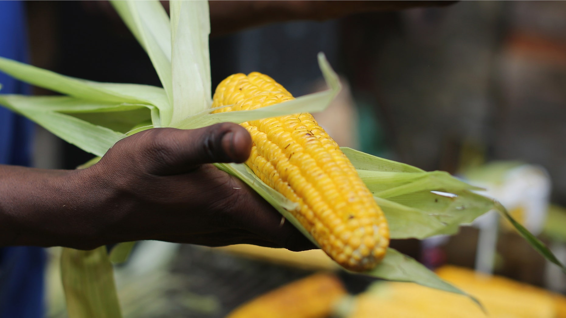 LONDON, ENGLAND - AUGUST 24: A stall holder sells sweet corn during the Notting Hill Carnival on August 24, 2014 in London, England. The Notting Hill Carnival is the largest street festival in Europe and was first held in 1964 by the Afro-Caribbean community. Over the bank holiday weekend the streets come alive to steel bands, colourful floats and costumed performers as members of the public flood into the area to join in the celebrations. (Photo by Dan Kitwood/Getty Images)