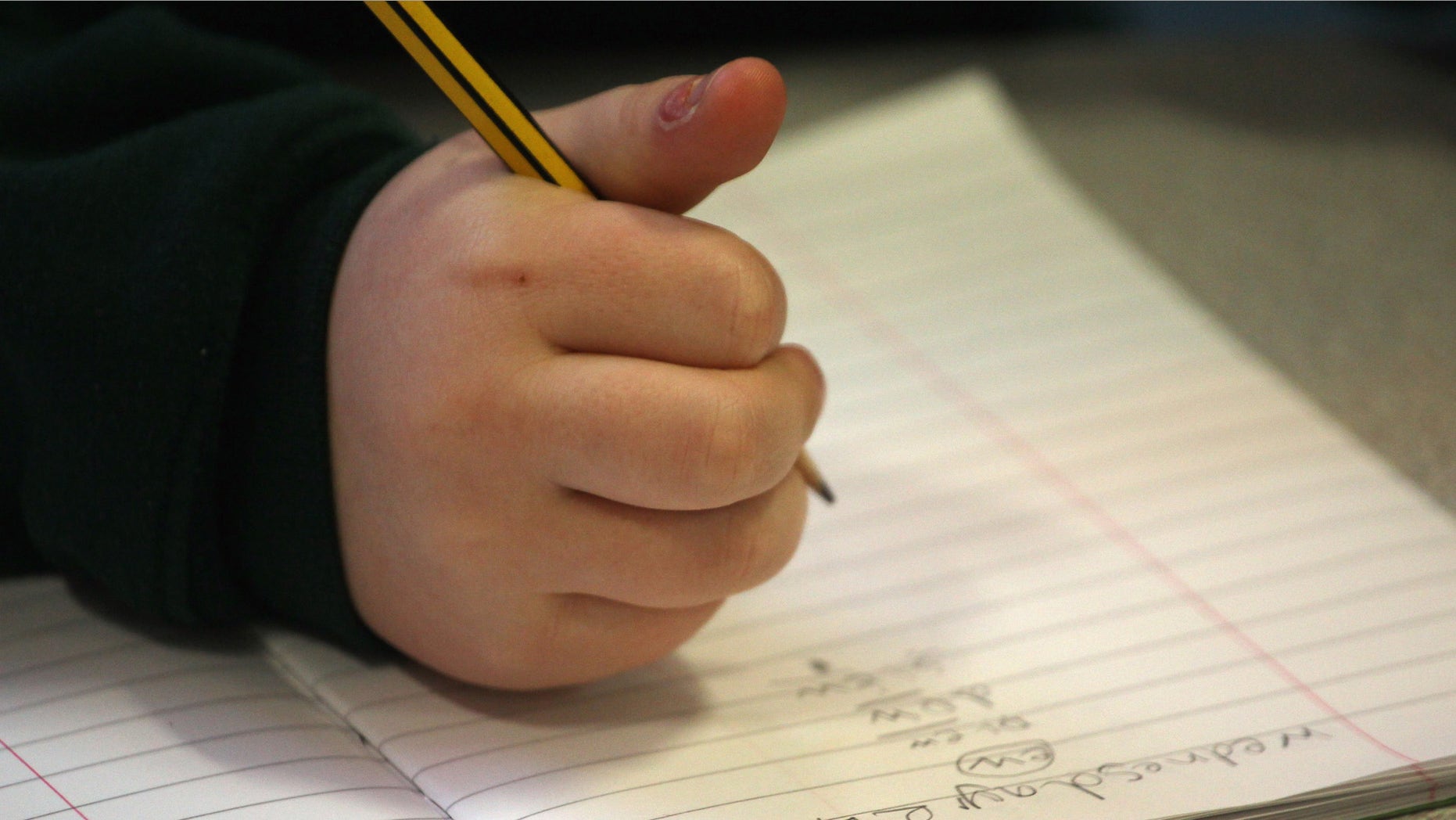 CHIPPENHAM, UNITED KINGDOM - FEBRUARY 23: A primary school pupil at the Bridge Learning Campus completes his school work in a classroom at the school on February 24, 2010 in Bristol, England. The 40million GBP campus in Hartcliffe, Bristol, was constructed as part of the Government's Building Schools for the Future programme and opened in January 2009. It now offers over 800 pupils a life long provision of learning from nursery, reception and primary to secondary and post-16 education. As the UK gears up for one of the most hotly contested general elections in recent history it is expected that that the economy, immigration, the NHS and education are likely to form the basis of many of the debates. (Photo by Matt Cardy/Getty Images)