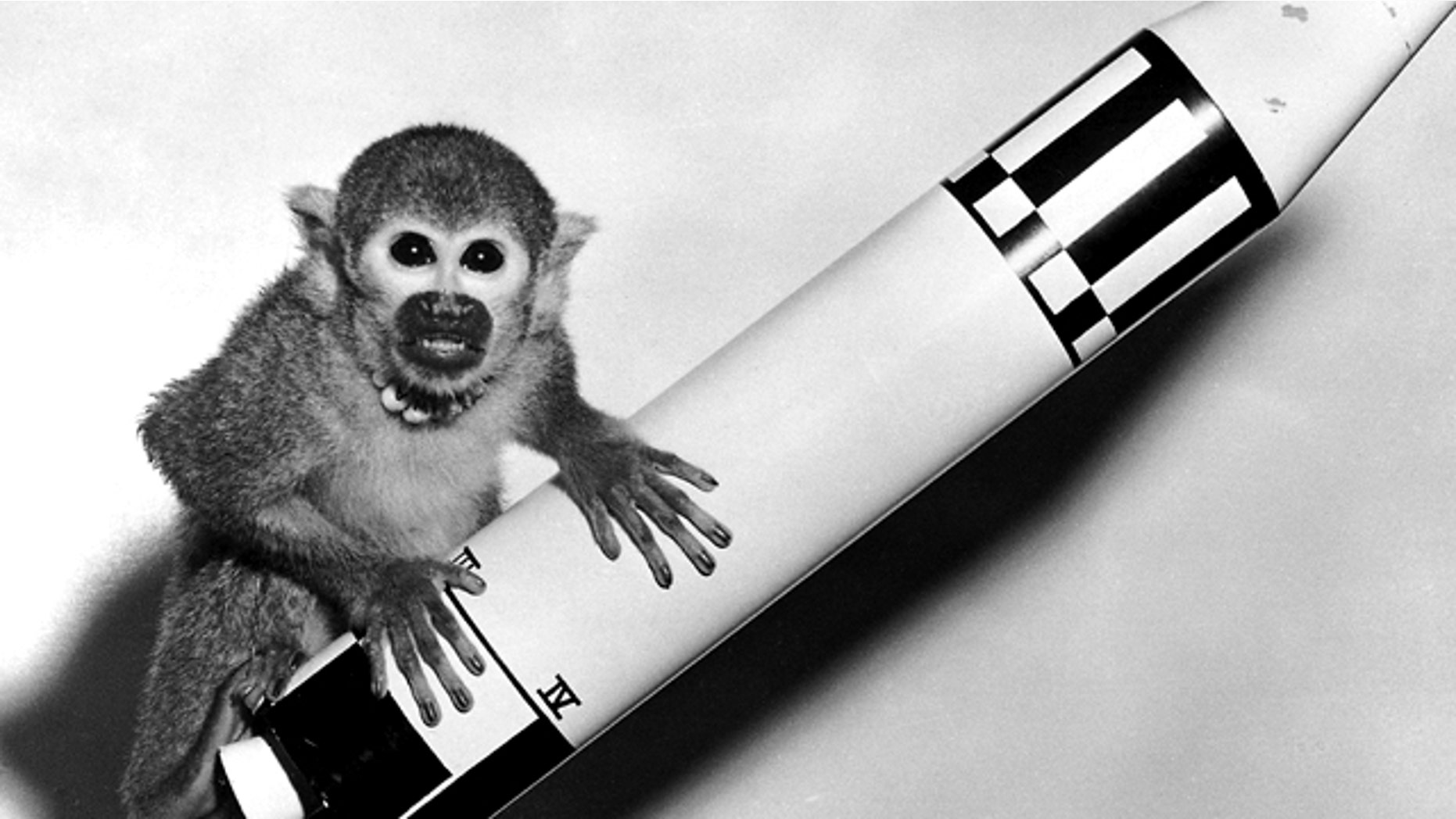 May 29, 1959: Monkey Baker, sent into space on the Jupiter AM-18 rocket, poses on a model of the vehicle.