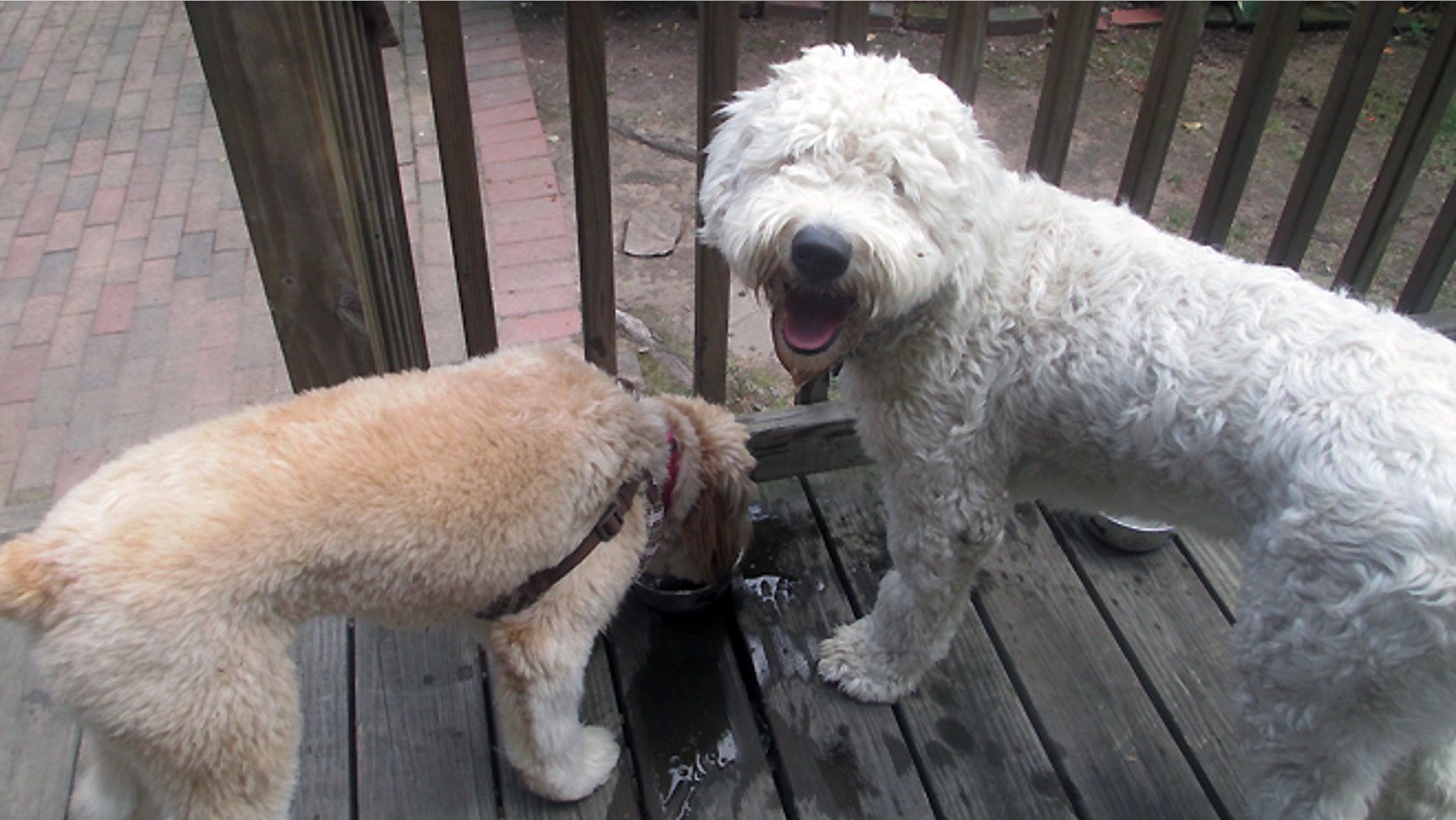 Elsie and Brady