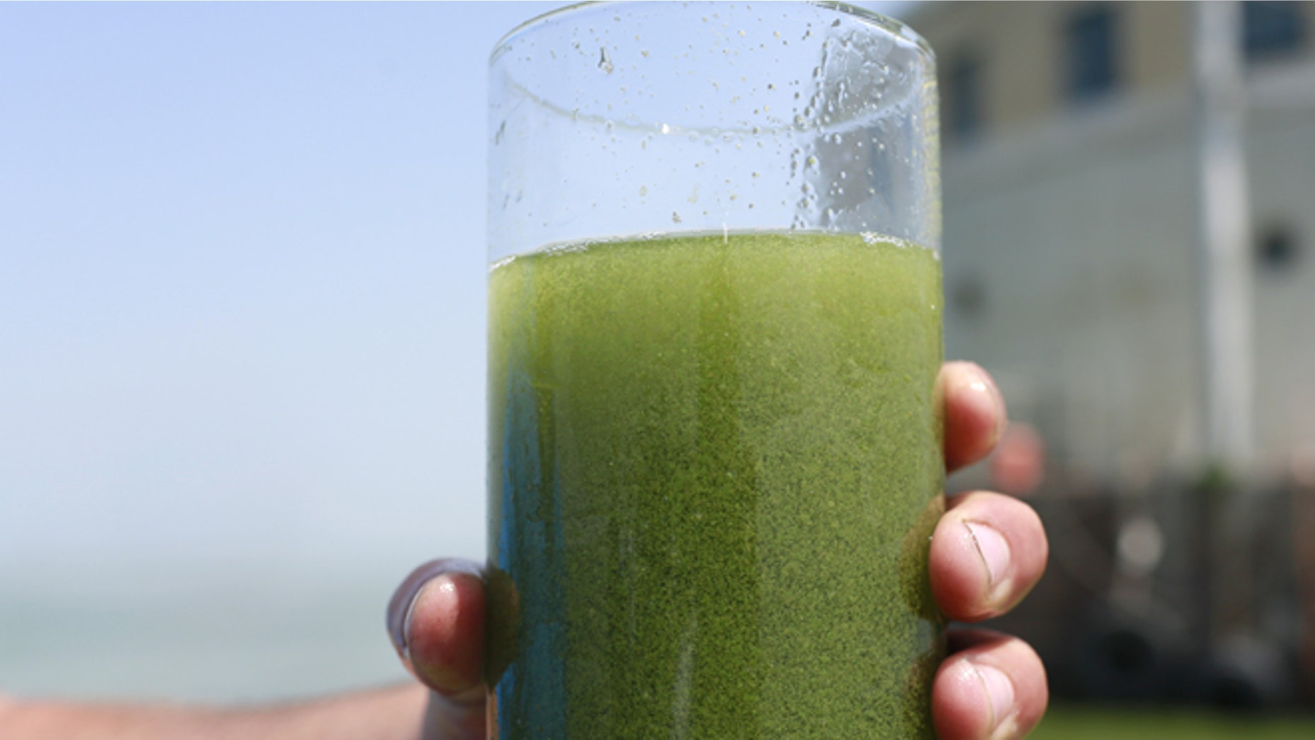 A sample glass of Lake Erie water is photographed near the City of Toledo water intake crib, Sunday, Aug. 3, 2014, in Lake Erie, about 2.5 miles off the shore of Curtice, Ohio. More tests are needed to ensure that toxins are out of Toledo's water supply, the mayor said Sunday, instructing the 400,000 people in the region to avoid drinking tap water for a second day. Toledo officials issued the warning early Saturday after tests at one treatment plant showed two sample readings for microsystin above the standard for consumption, possibly because of algae on Lake Erie. (AP Photo/Haraz N. Ghanbari)