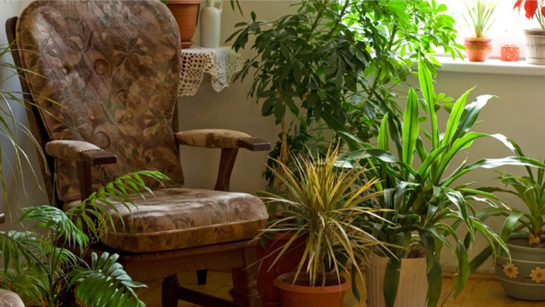 Cozy corner at home in the morning lights