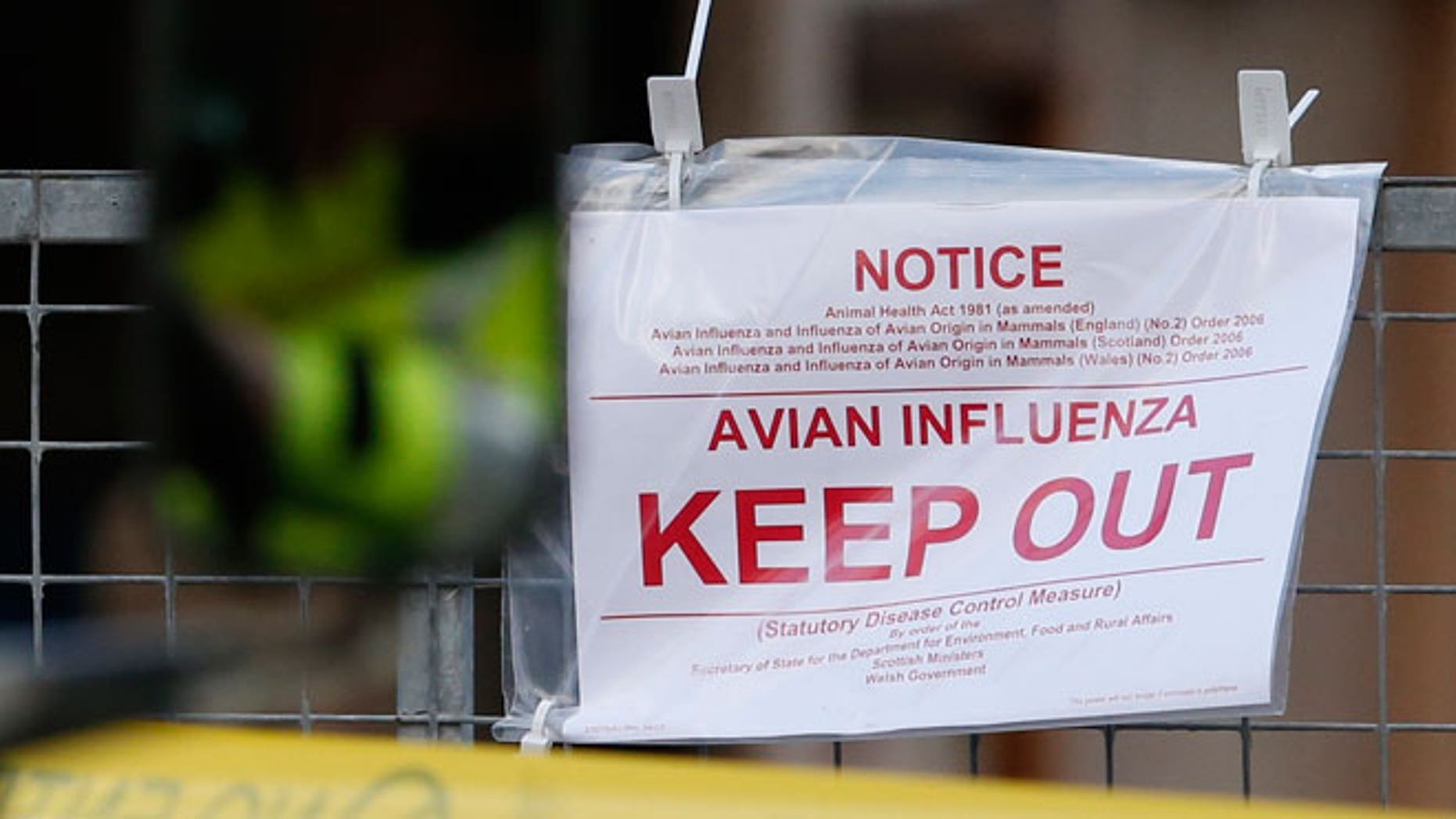 New outbreak of avian flu found in Washington state Fox News