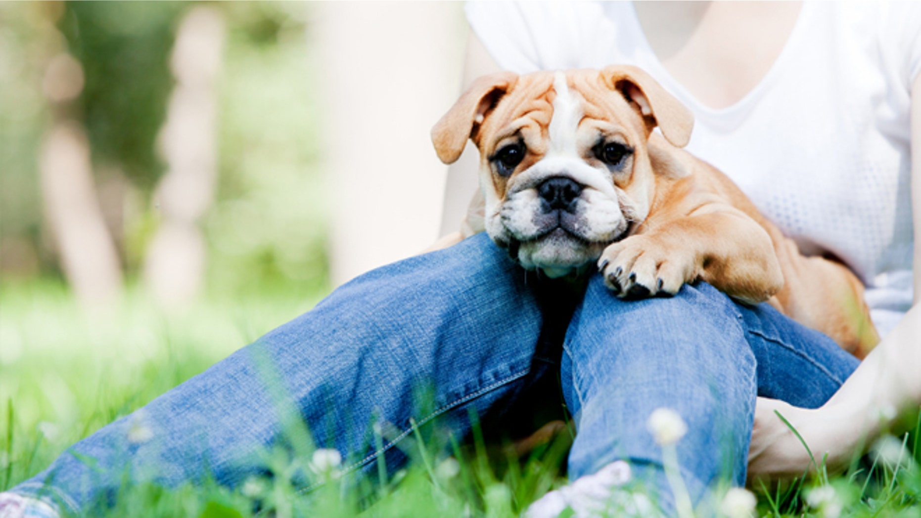 Young woman with her dog, focus on the dog face