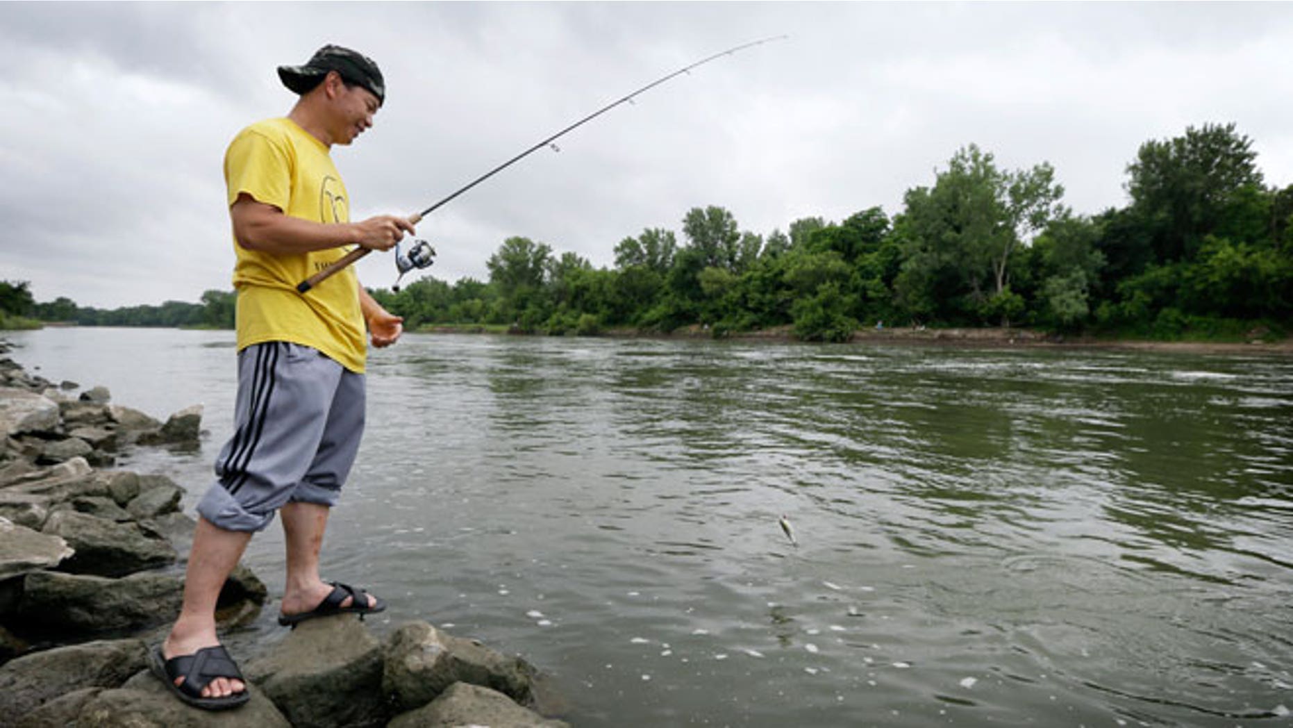 In this photo taken, Monday, June 22, 2015, Boun Lovan, of Des Moines, Iowa, catches a fish below the dam at Saylorville Lake near Des Moines, Iowa. Unlike advisories for other health hazards that are posted on packages and billboards or even quickly read on broadcast ads, the mercury dangers in fish are not communicated directly to anglers. They appear to be largely unknown to those affected the most, the low-income people or immigrants who frequently fish in streams and lakes near urban areas to supplement their diet.