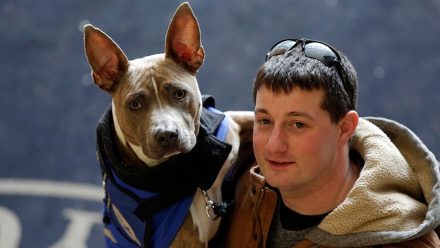 Former U.S. Marine Joe Bonfiglio, 24, and his pit bull assistance dog Zen, pose for a photograph on the campus of Mercy College, in Dobbs Ferry, NY, Wednesday, Feb. 4, 2015.