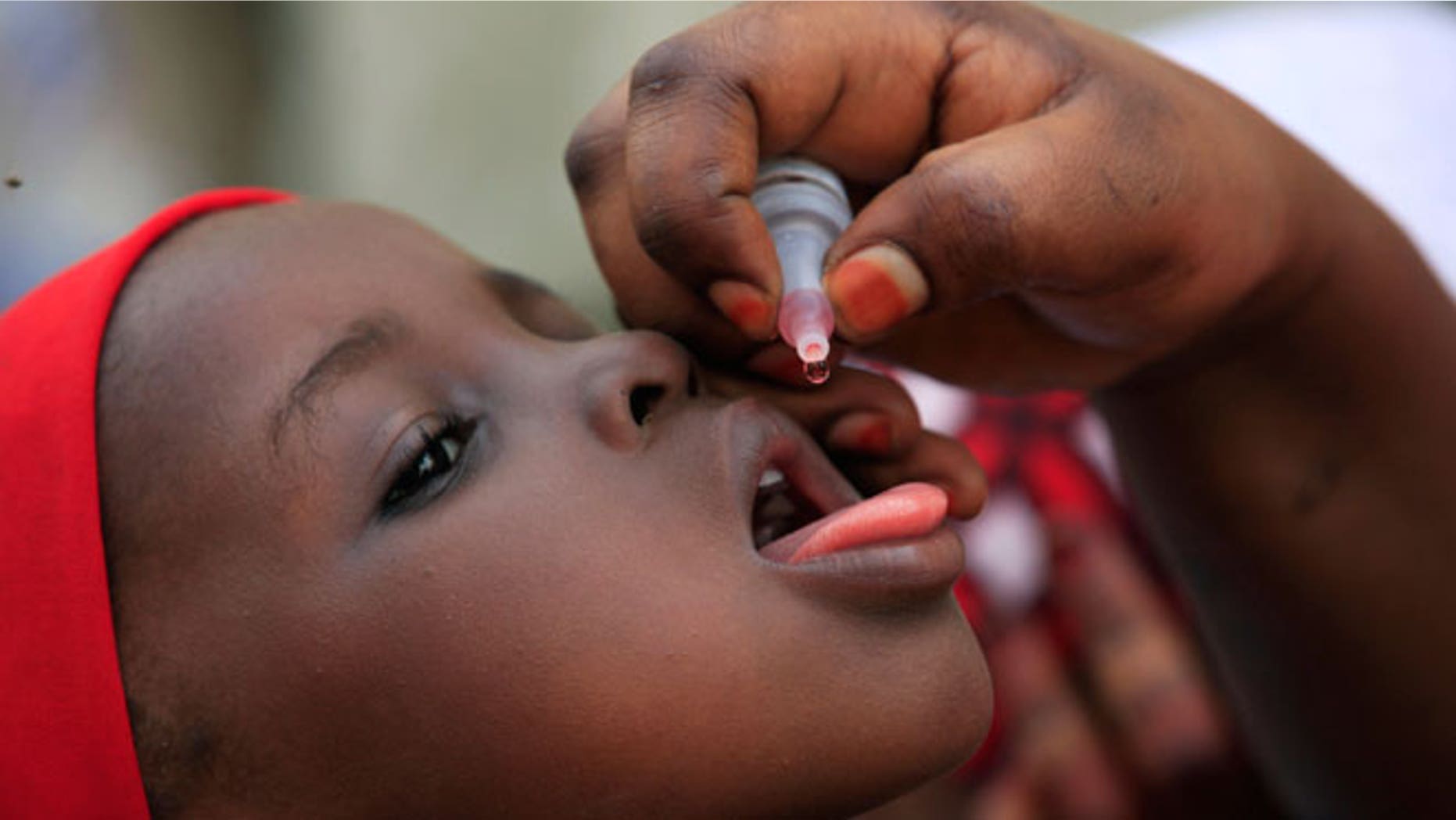 In this Sunday, April 13, 2014 file photo, a health official administers a polio vaccine to a child in Kawo Kano, Nigeria Polio is no longer endemic in Nigeria, the World Health Organization said late Friday, Sept. 25, 2015 leaving only Pakistan and its war-battered neighbor Afghanistan in the list of countries where the disease is prevalent.