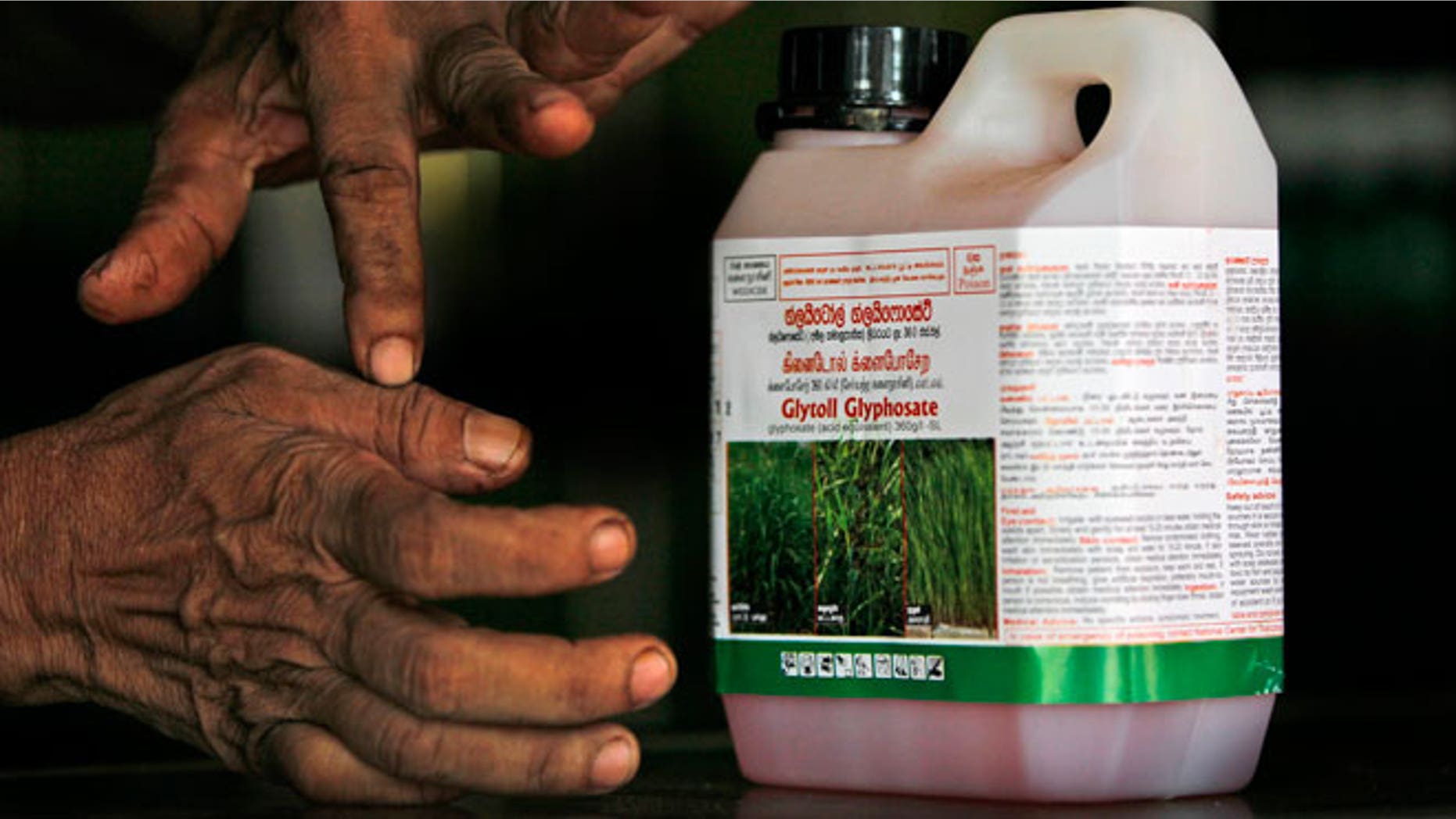 In this July 24, 2014, photo, a Sri Lankan agrochemical vendor gives instructions on how to use Glyphosate, the country's most popular weed killer, at a chemical sales point in Padaviya, Sri Lanka. A chronic kidney disease that has already killed up to 20,000 people over the past two decades and affects anywhere from 70,000 to 400,000 more in the country's North Central rice basket, remains an enigma without a name. Many in Sri Lanka, including the World Health Organization, have pointed to heavy use and misuse of agrochemicals as a possible culprit in a country that's among the world's top fertilizer users.